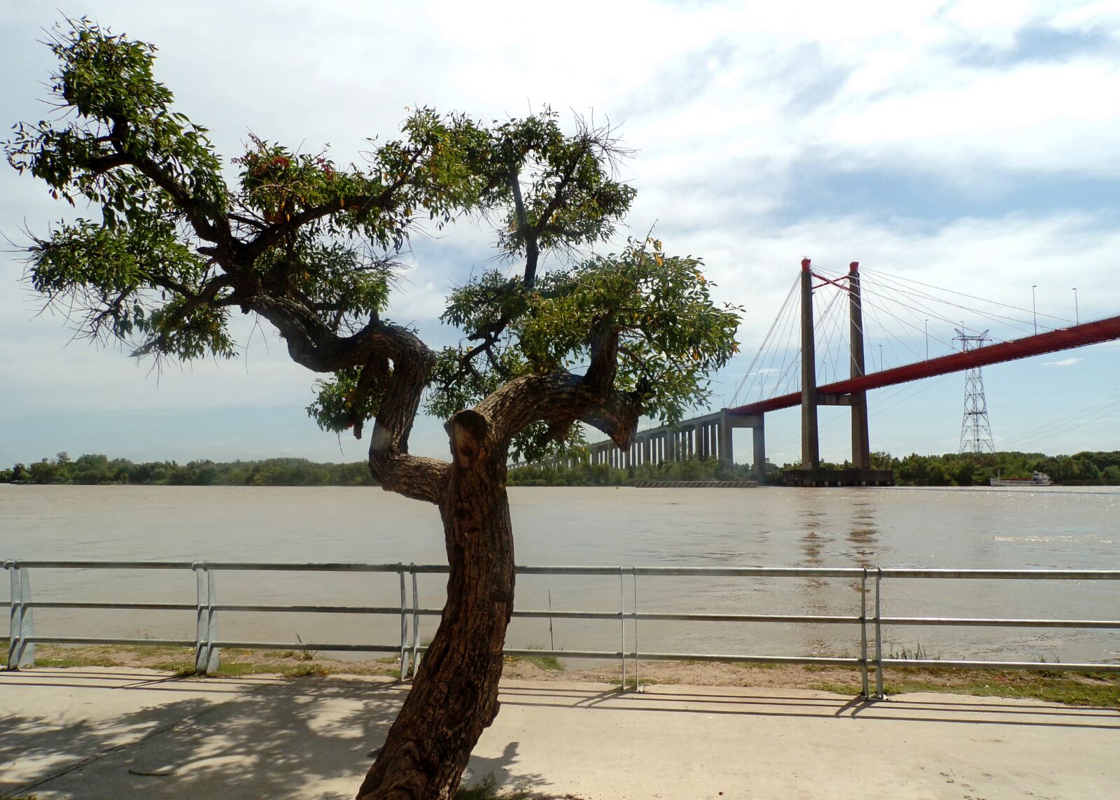 JK KODAK PIXPRO AZ421 sample photo. River, bridge, tree photography
