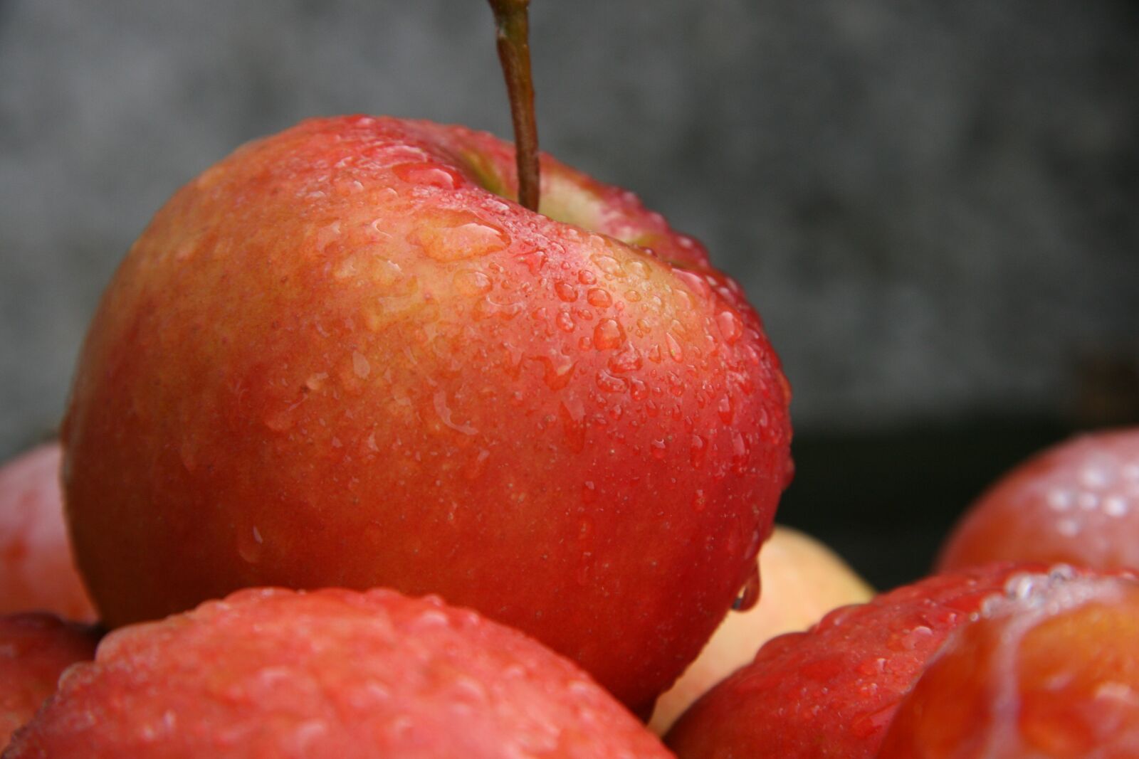 Canon EOS 400D (EOS Digital Rebel XTi / EOS Kiss Digital X) sample photo. Apples, dew, fruit photography