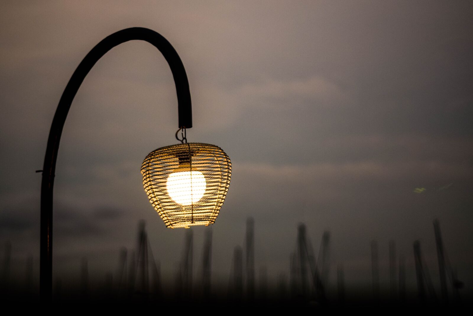 Nikon D5300 sample photo. Lamp, night, light photography