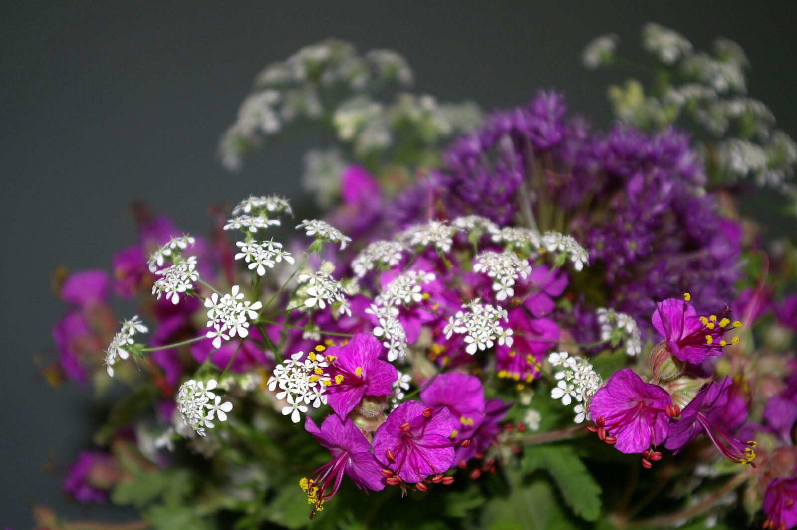 Pentax *ist DL2 sample photo. Bouquet of flowers, filigree photography