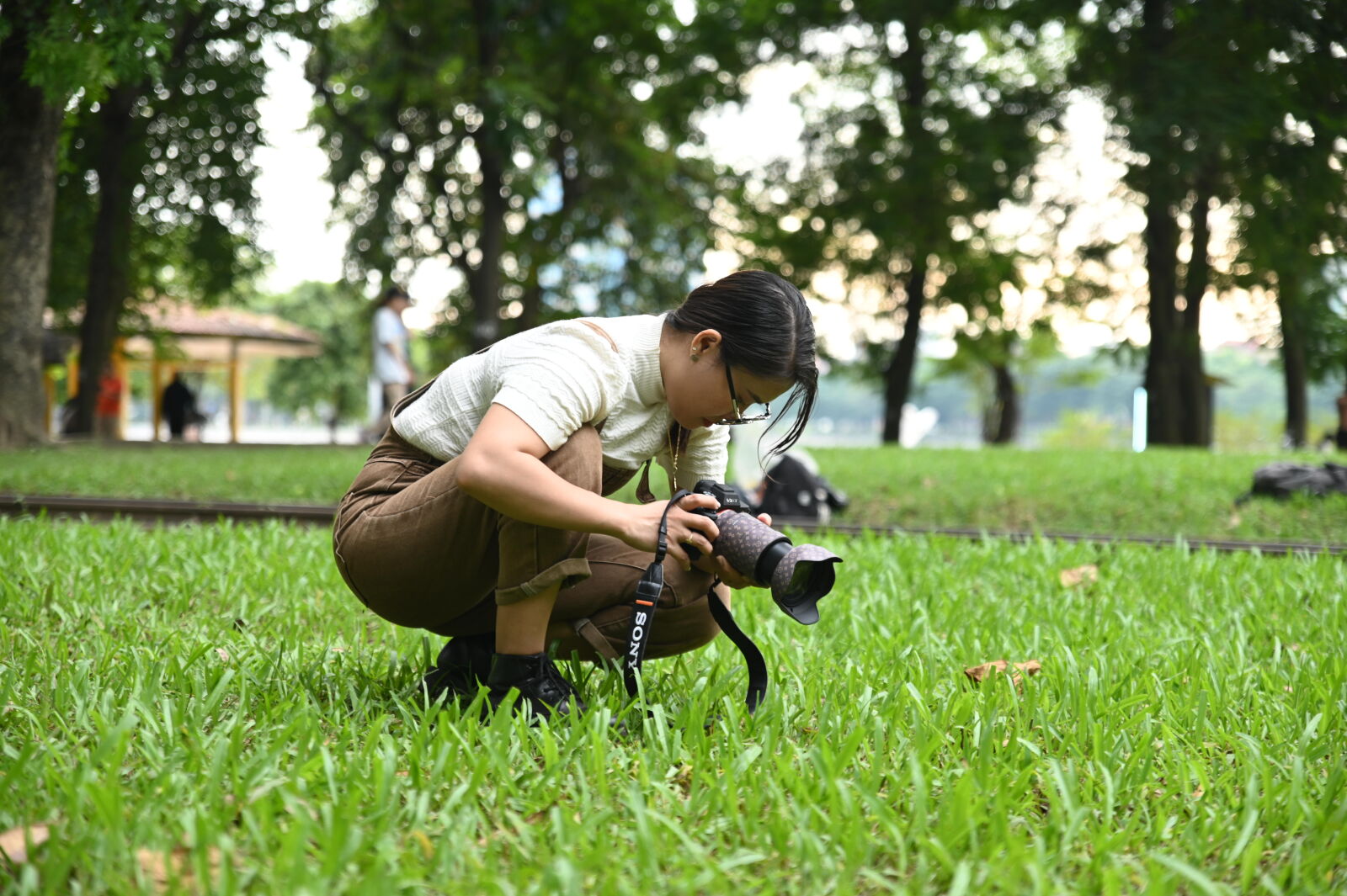 Nikon D780 sample photo