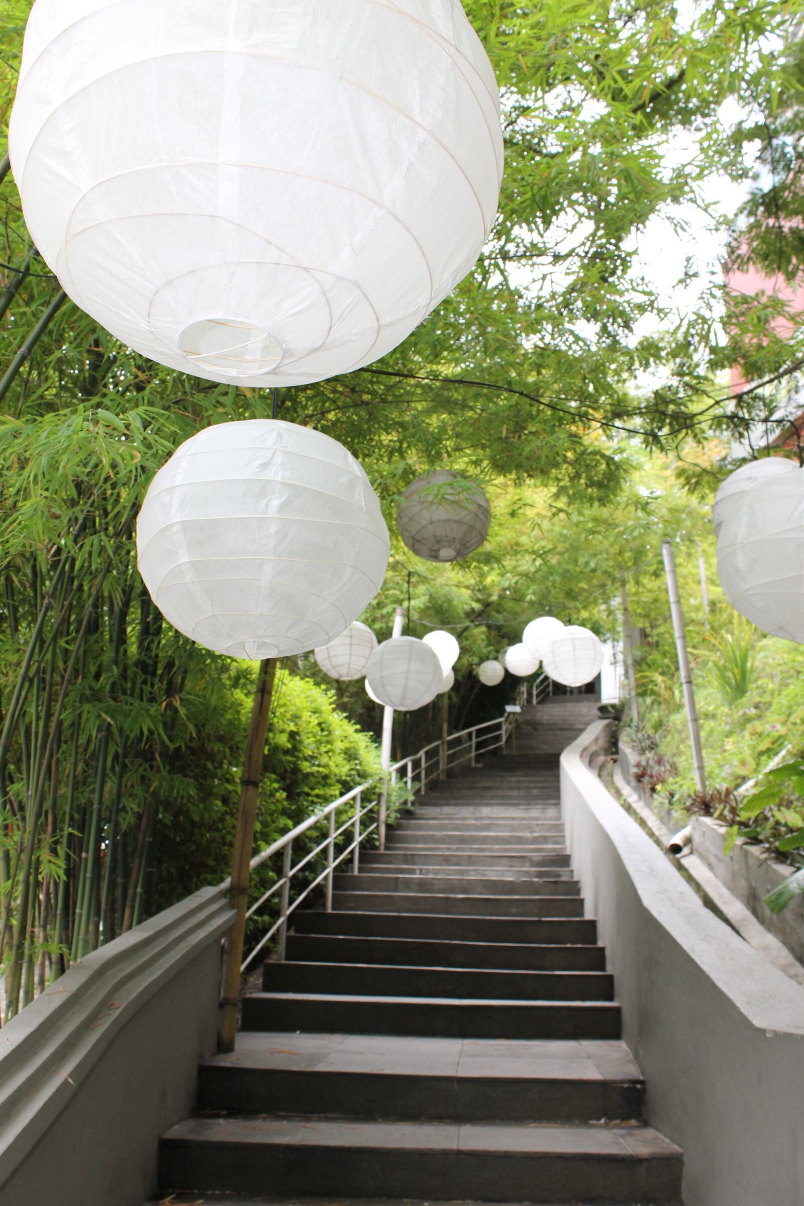 Canon EOS 1100D (EOS Rebel T3 / EOS Kiss X50) sample photo. Nature, path, light photography