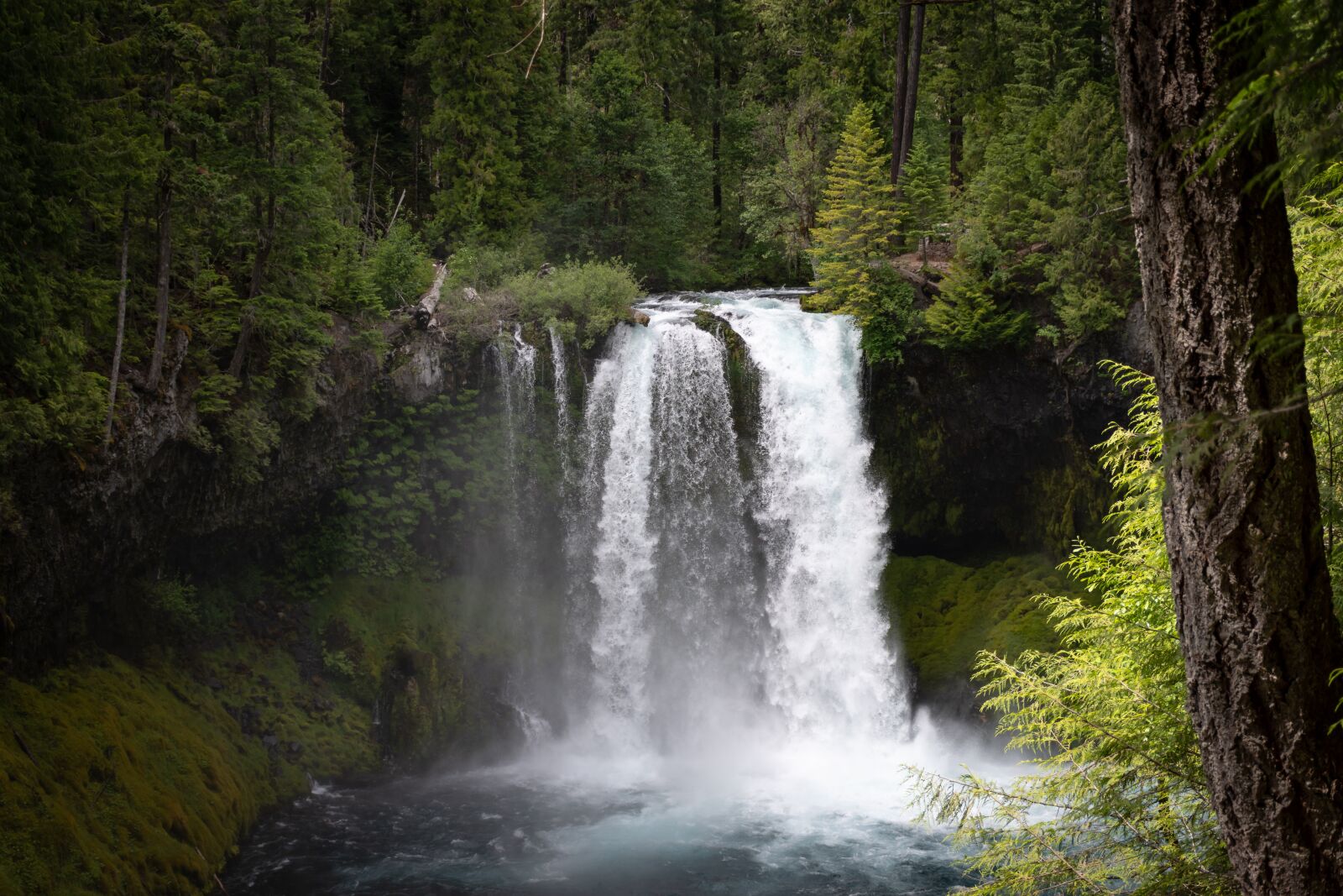 Nikon D7200 sample photo. Waterfall, forest, nature photography