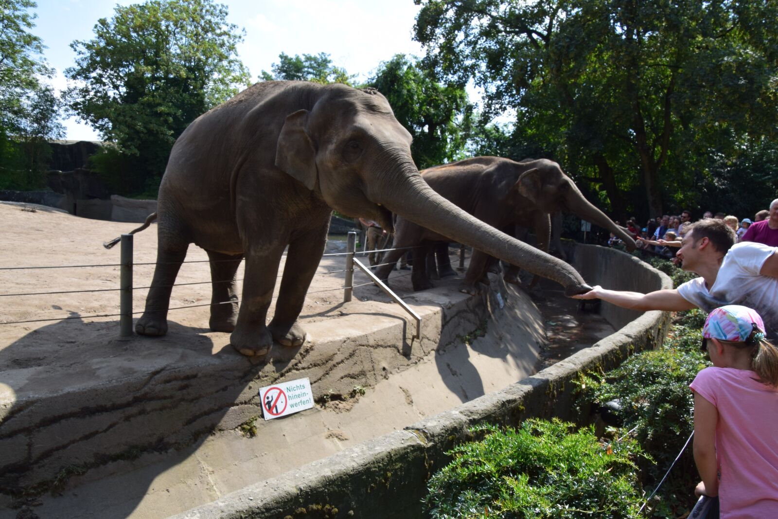 Nikon D5300 sample photo. Hamburg, hagenbeck, summer photography