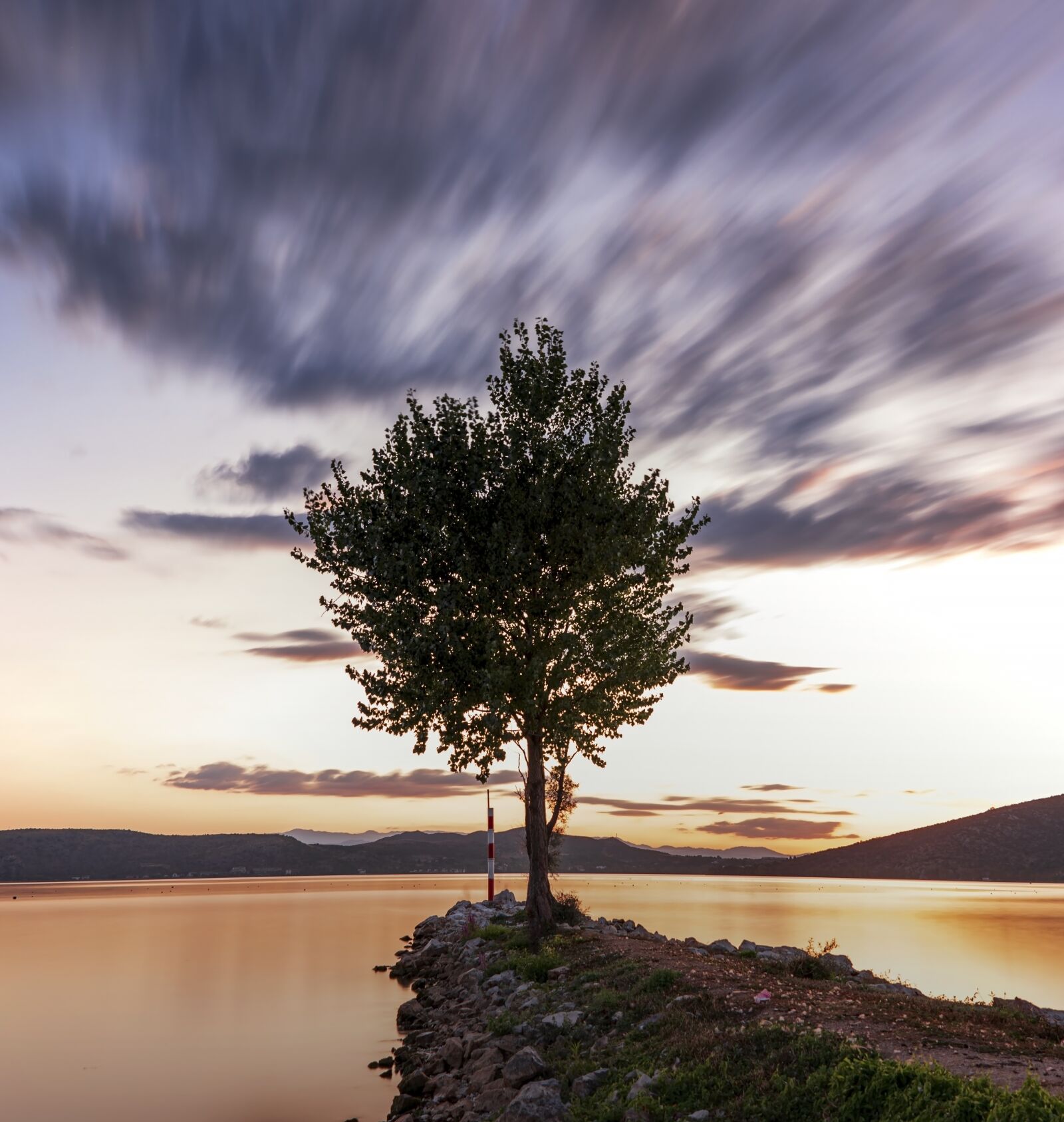 Tamron SP 24-70mm F2.8 Di VC USD sample photo. Tree, lonely, long exposure photography