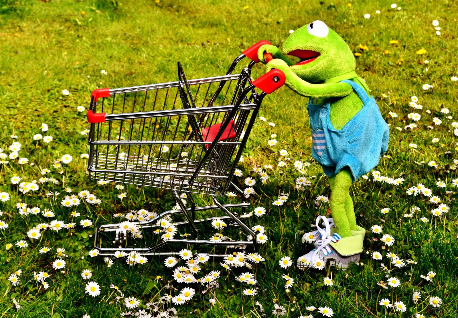 Nikon D7200 sample photo. Kermit, frog, shopping photography