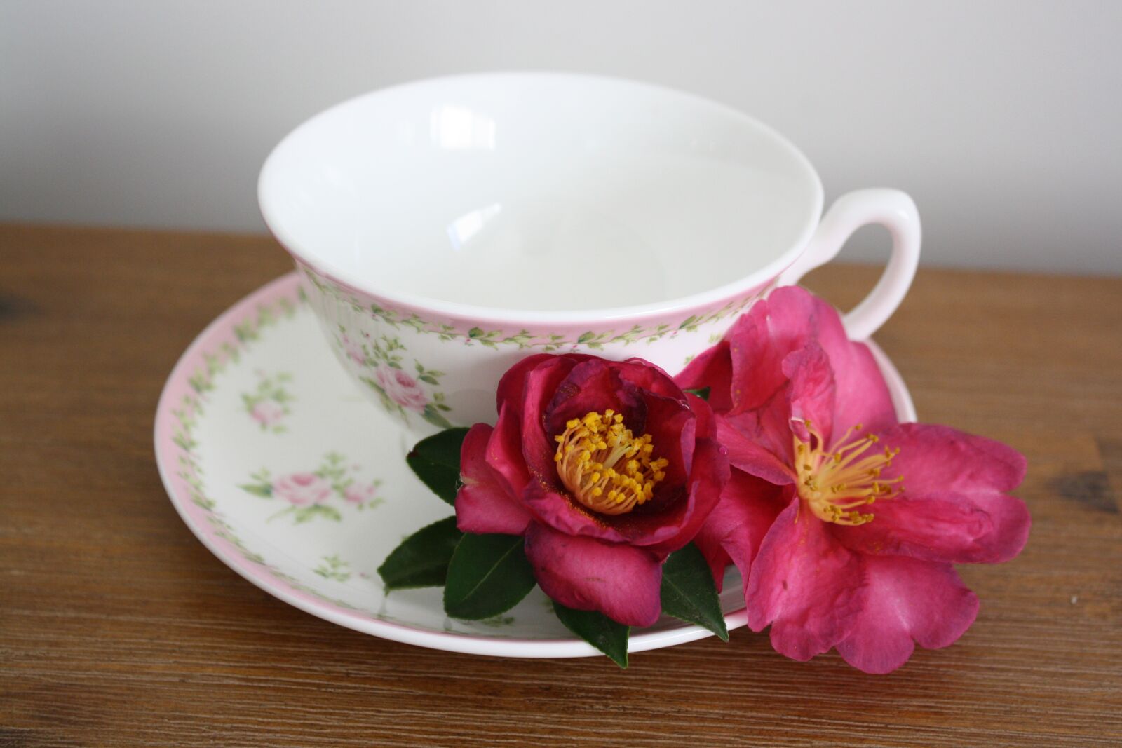 Canon EOS 1000D (EOS Digital Rebel XS / EOS Kiss F) sample photo. Cup, saucer, flowers photography