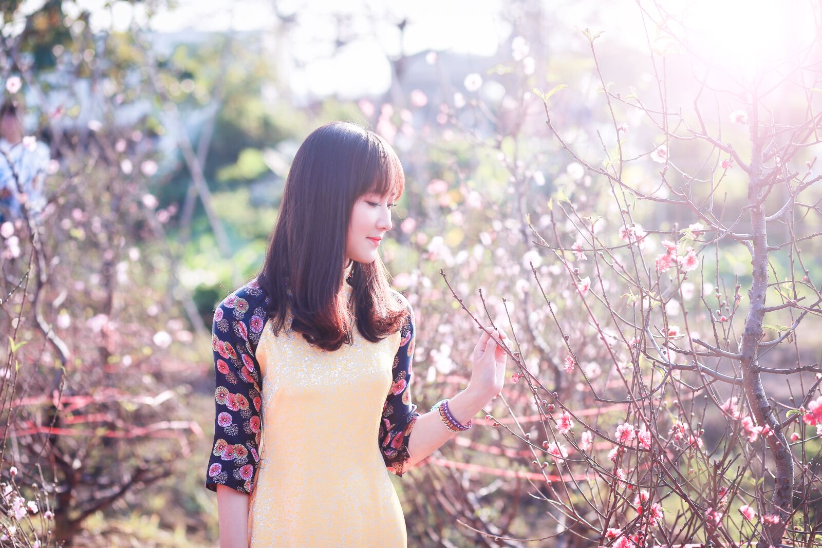 Canon EF 85mm F1.8 USM sample photo. Nature, flower, beautiful photography