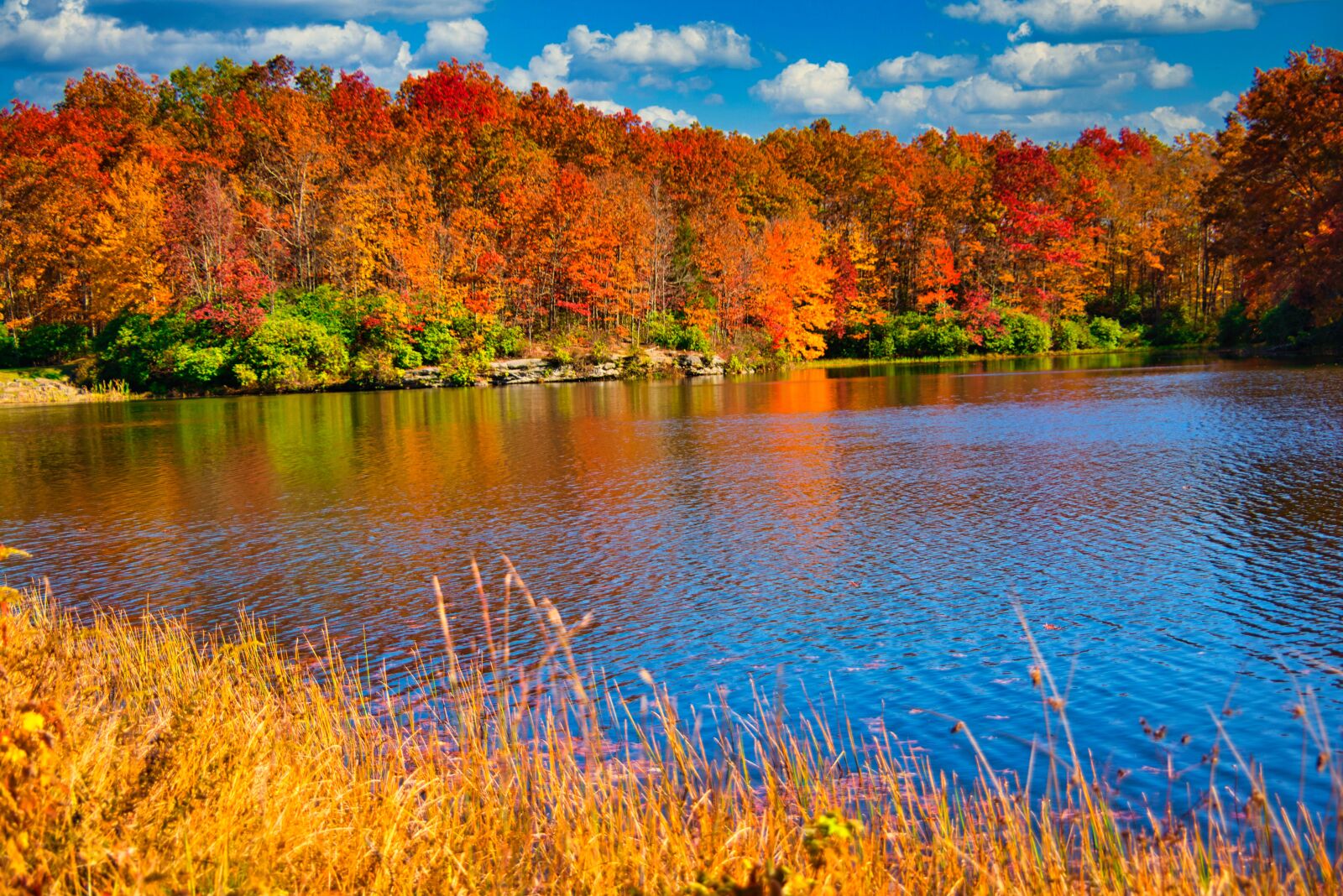 Nikon D800 sample photo. Fall, color, foliage photography