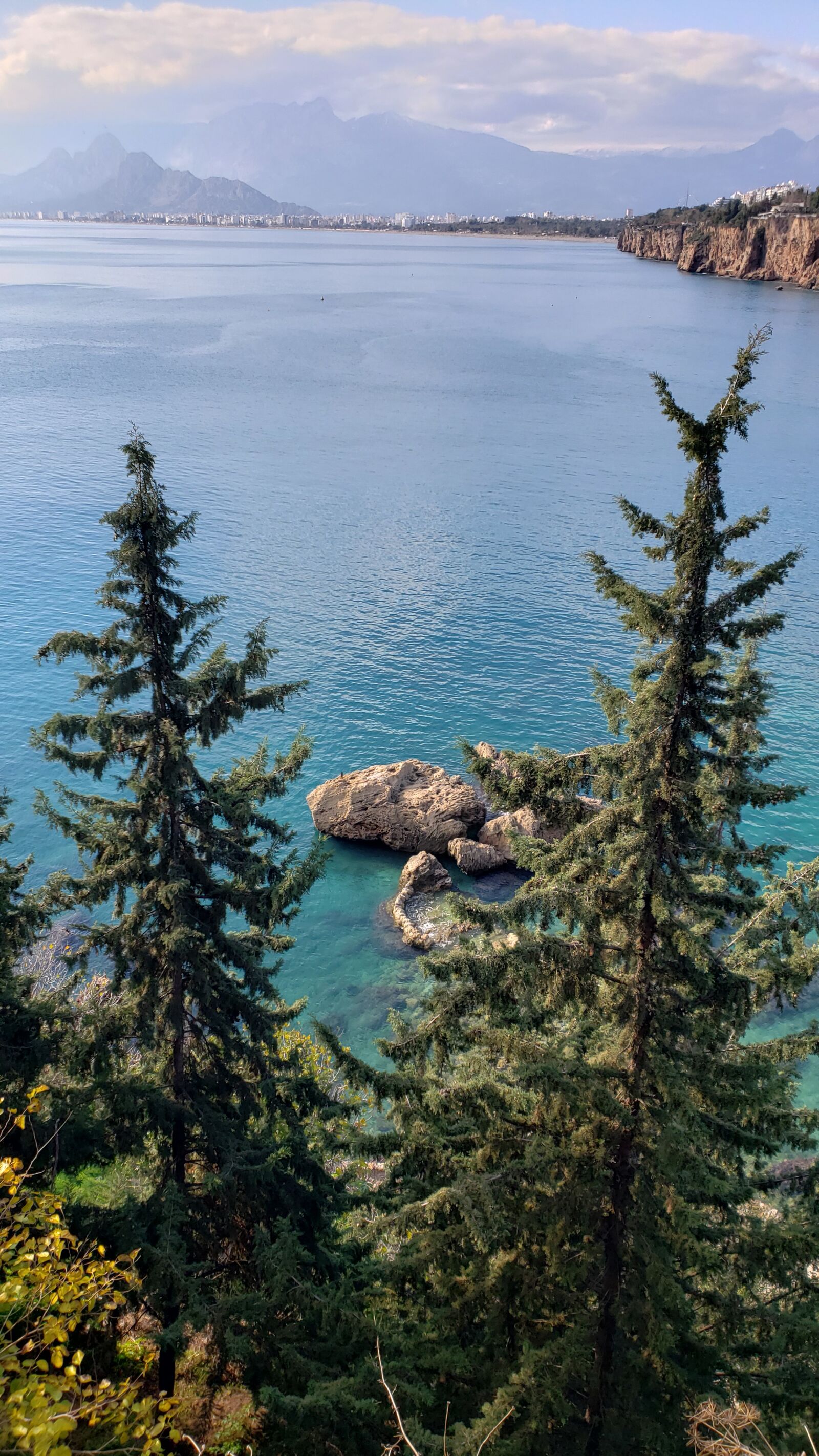 Samsung Galaxy S9+ sample photo. Cedar trees, mountains, mediterranean photography