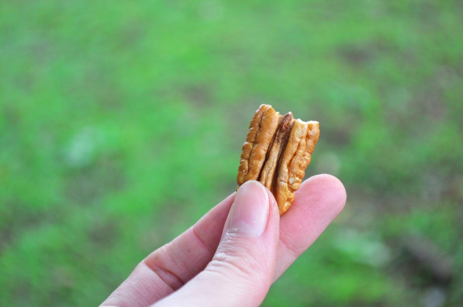 Nikon D3200 sample photo. Eat, eating, hand photography
