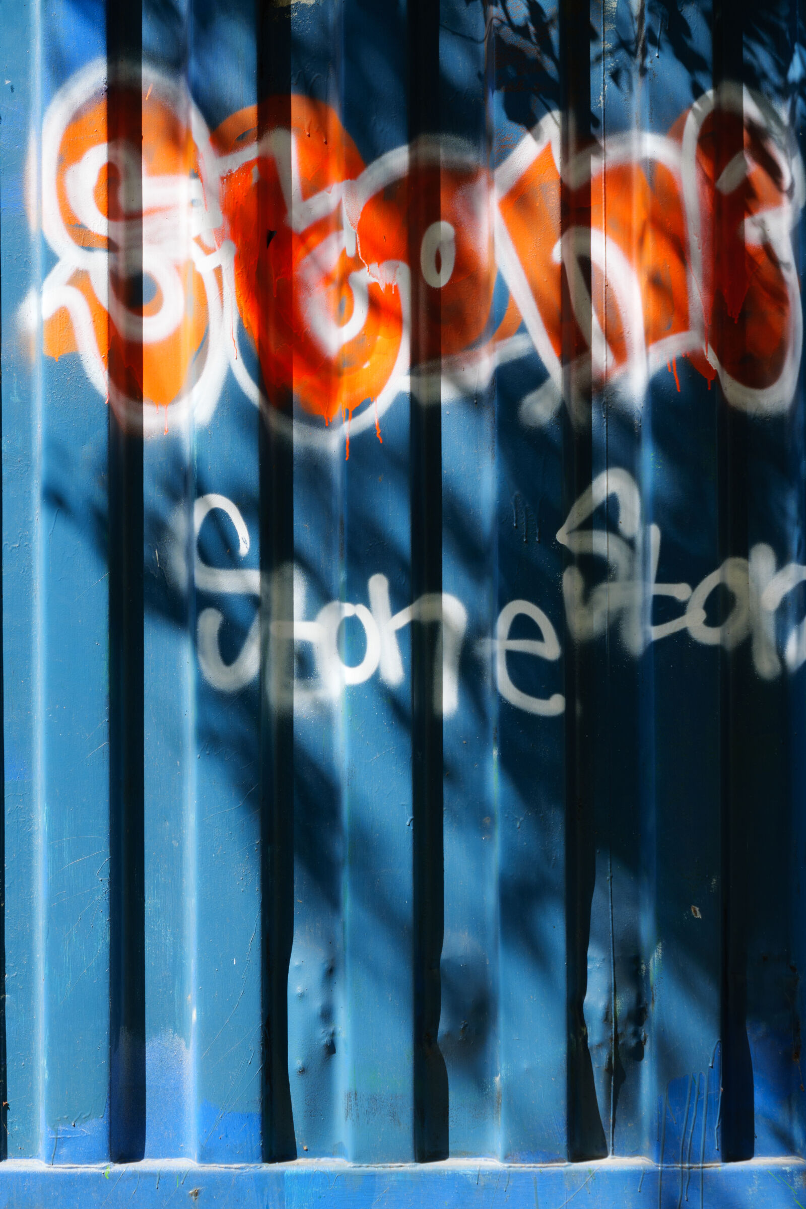 Panasonic Lumix DC-G9 II sample photo. Graffiti container photography