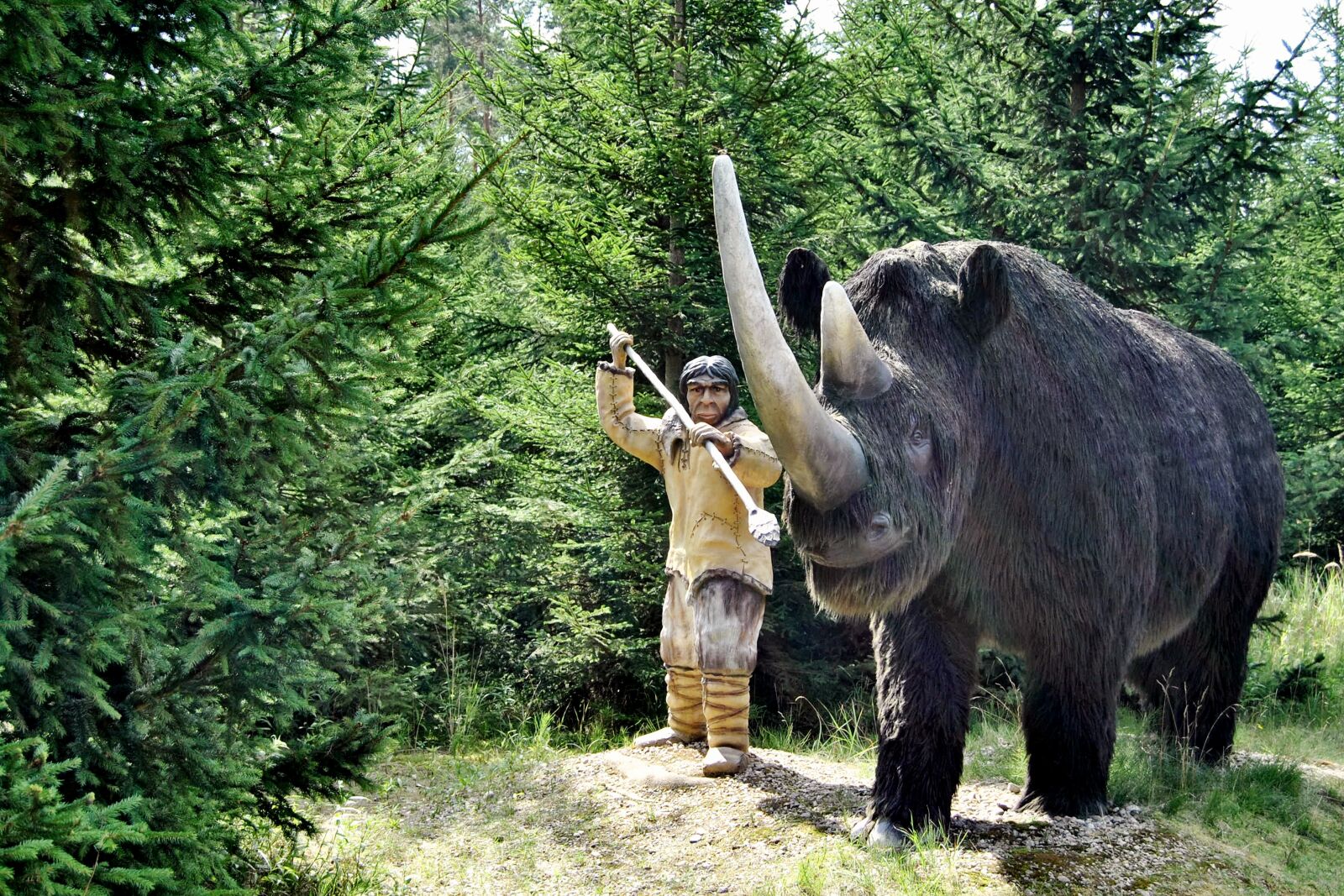 Nikon D3000 sample photo. Sculpture, animal sculpture, woolly photography