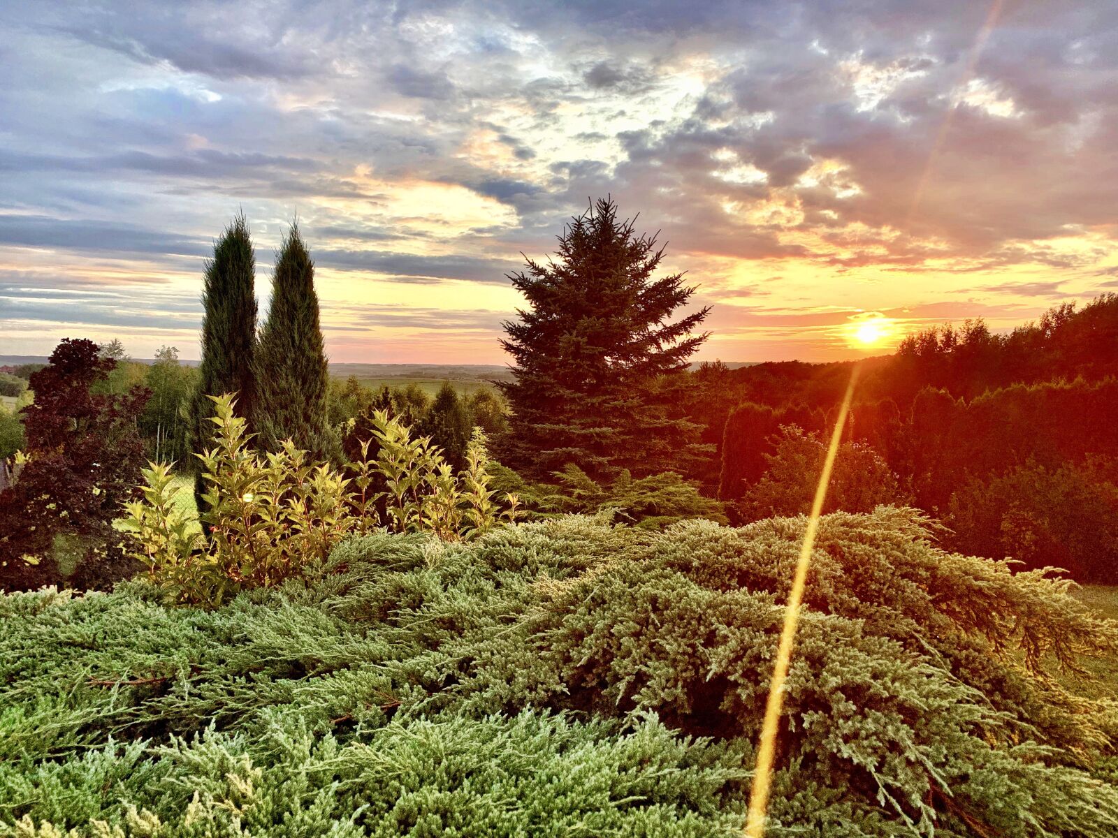 iPhone XS Max back dual camera 4.25mm f/1.8 sample photo. The sun, west, sky photography