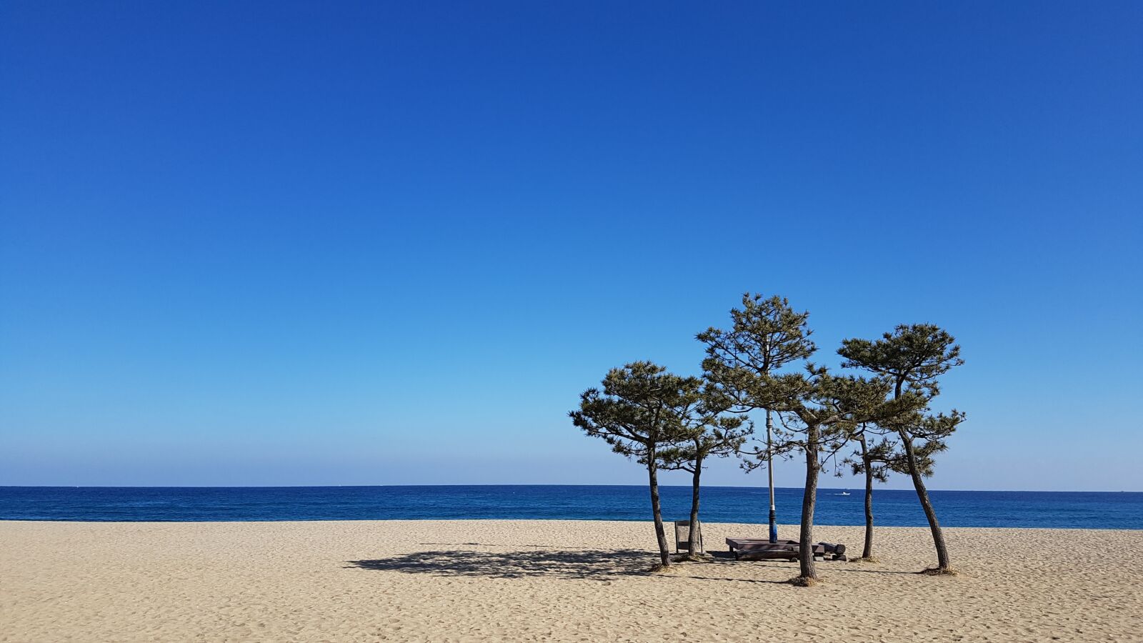 Samsung Galaxy S7 Edge sample photo. Nature, summer, sand photography
