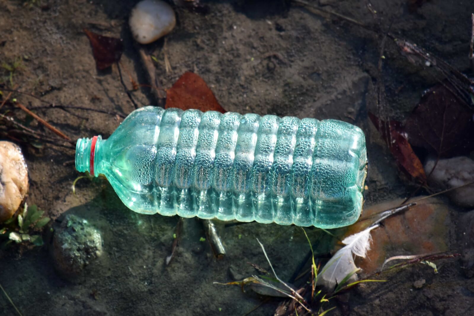 Nikon D5500 sample photo. Bottle, ecology, garbage, garbage photography