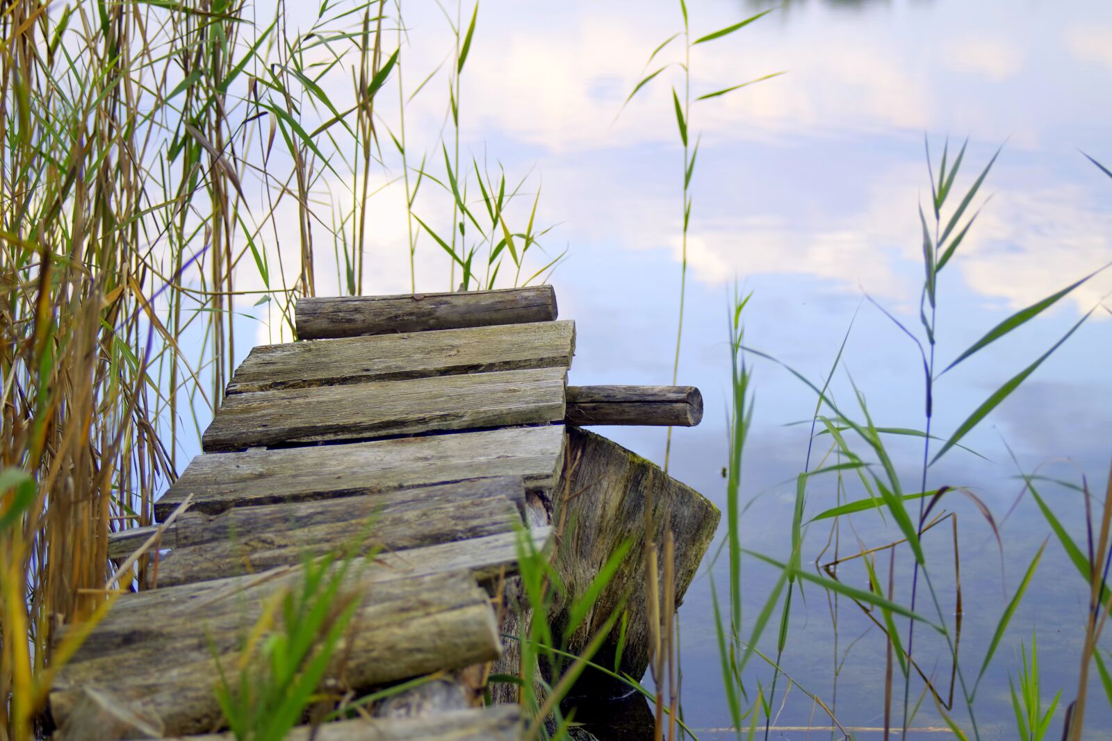 Pentax K-S2 sample photo. Bridge, wooden, pond photography