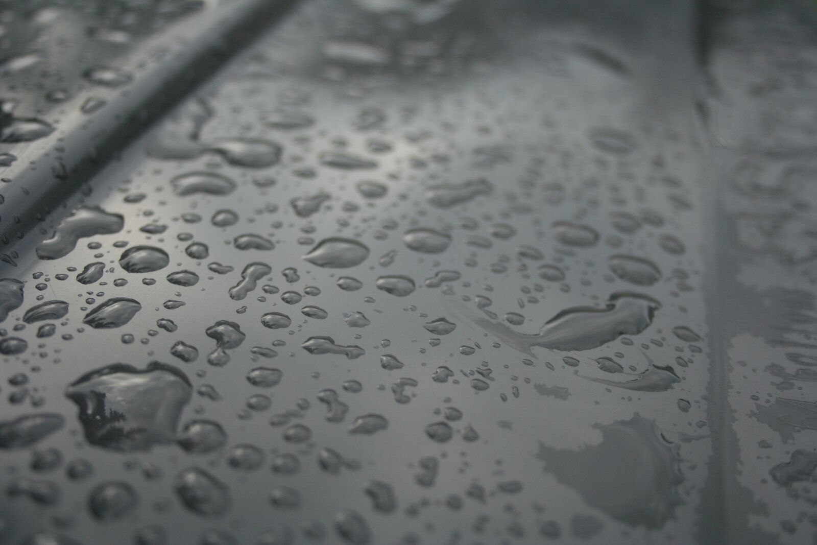 Canon EOS 350D (EOS Digital Rebel XT / EOS Kiss Digital N) sample photo. Raindrops, watery, drip photography