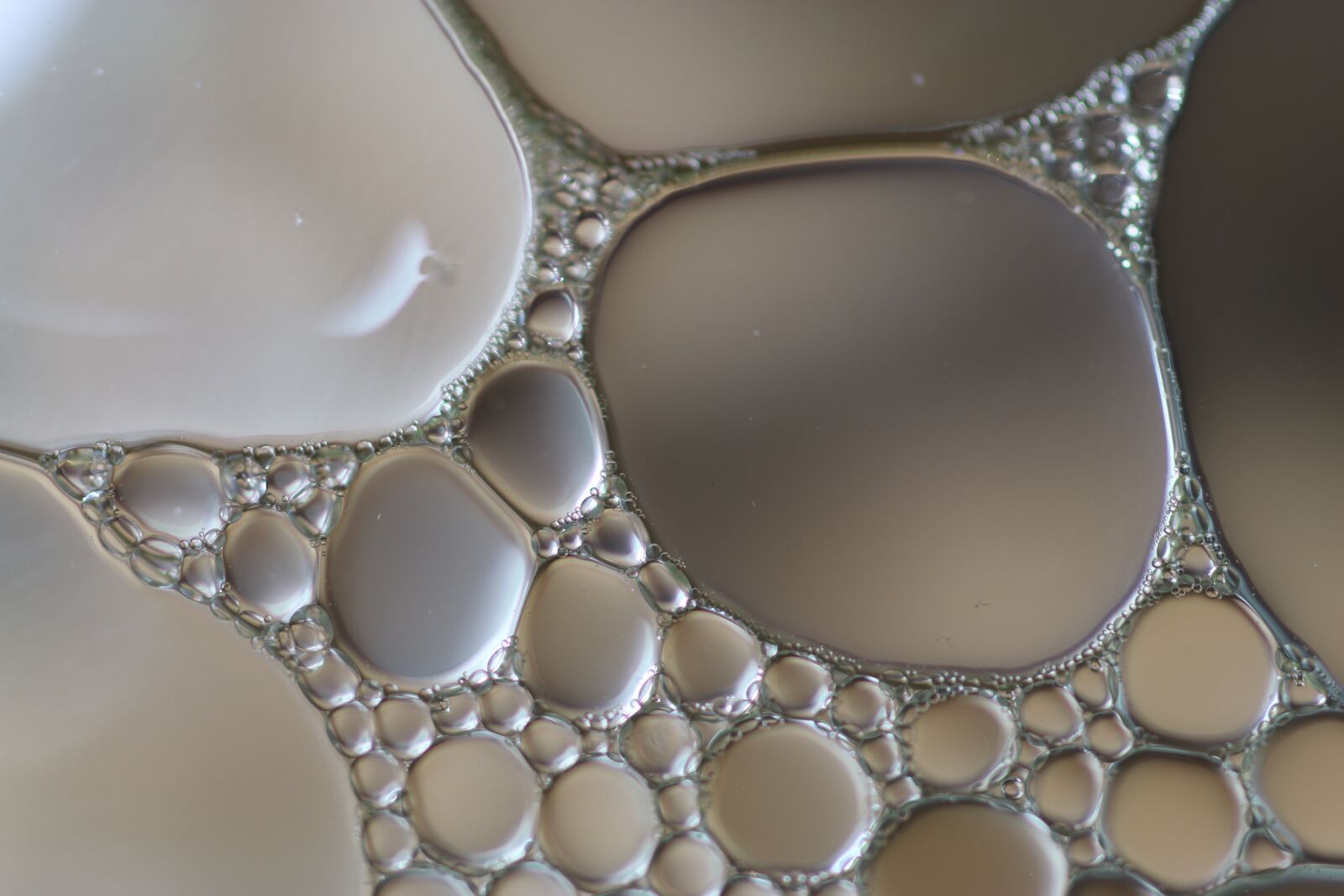 Canon EOS 70D + Canon EF 50mm F2.5 Macro sample photo. Oil in water, liquid photography