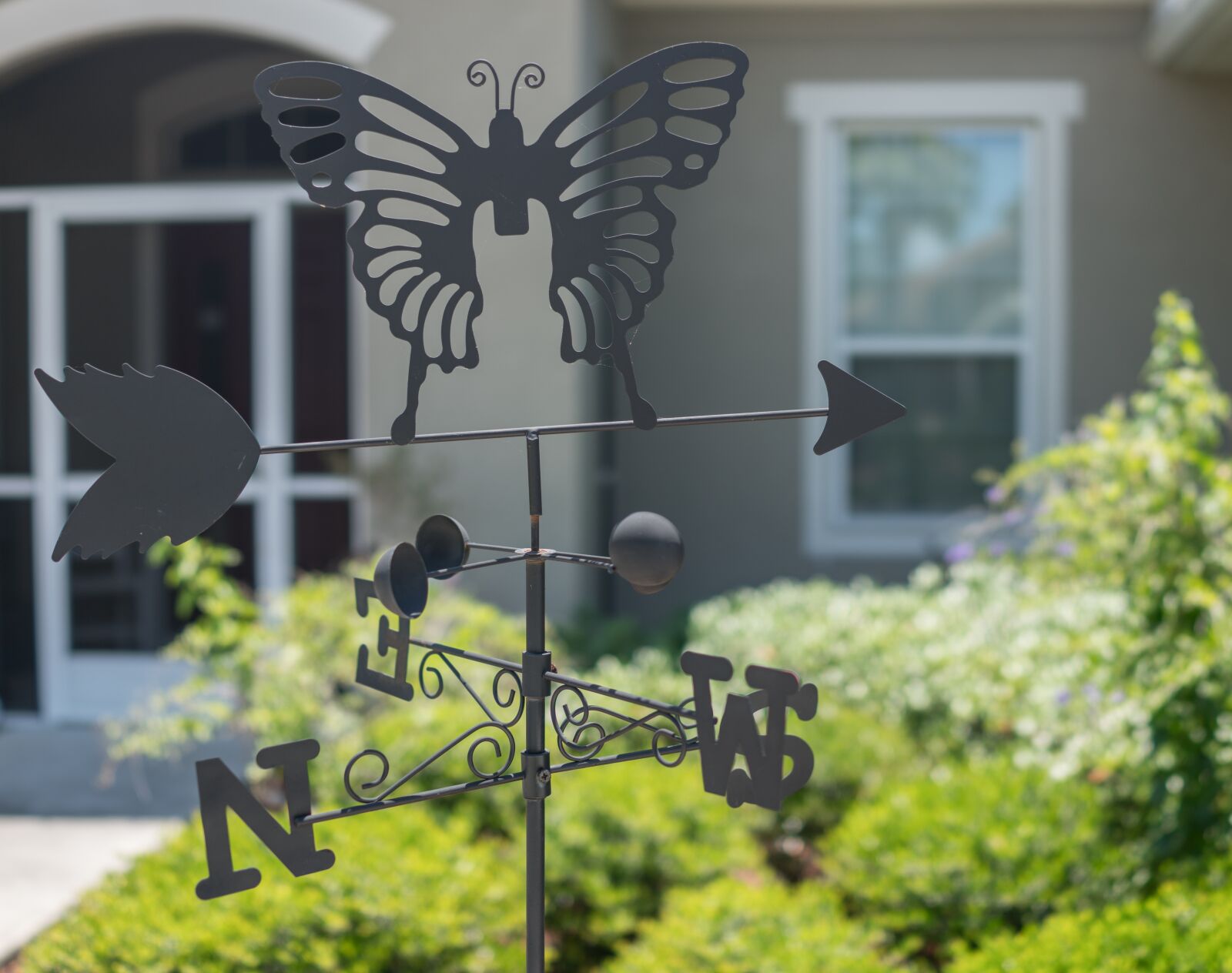 Sony Cyber-shot DSC-RX1R II sample photo. Compass, butterfly lawn decor photography