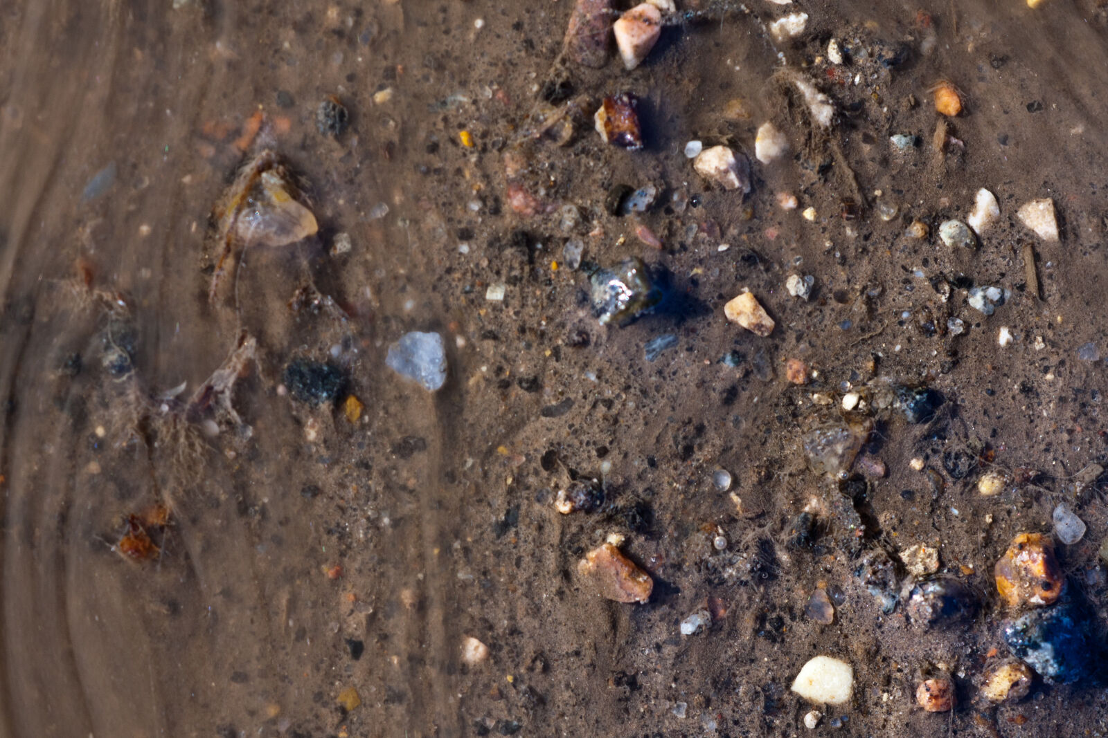 Canon EF 180mm F3.5L Macro USM sample photo