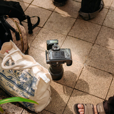 Canon EOS 6D Mark II + Canon EF 50mm F1.8 STM sample photos