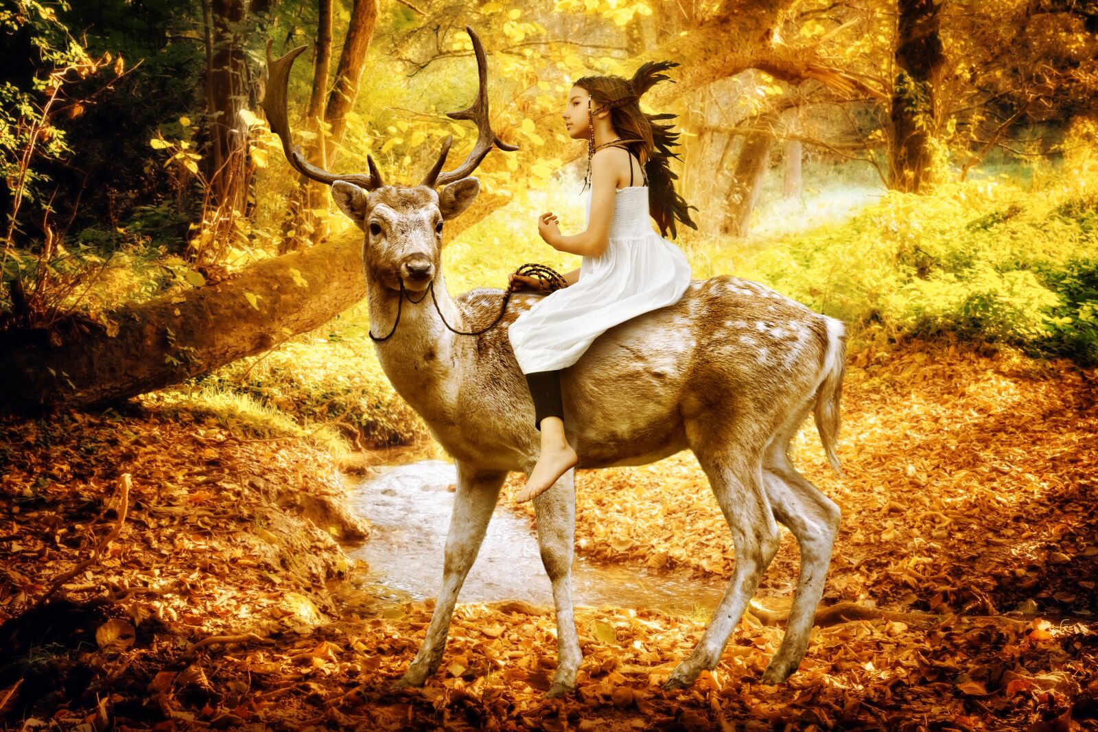 Nikon D3300 sample photo. Fairy tales, fairytale, mystical photography