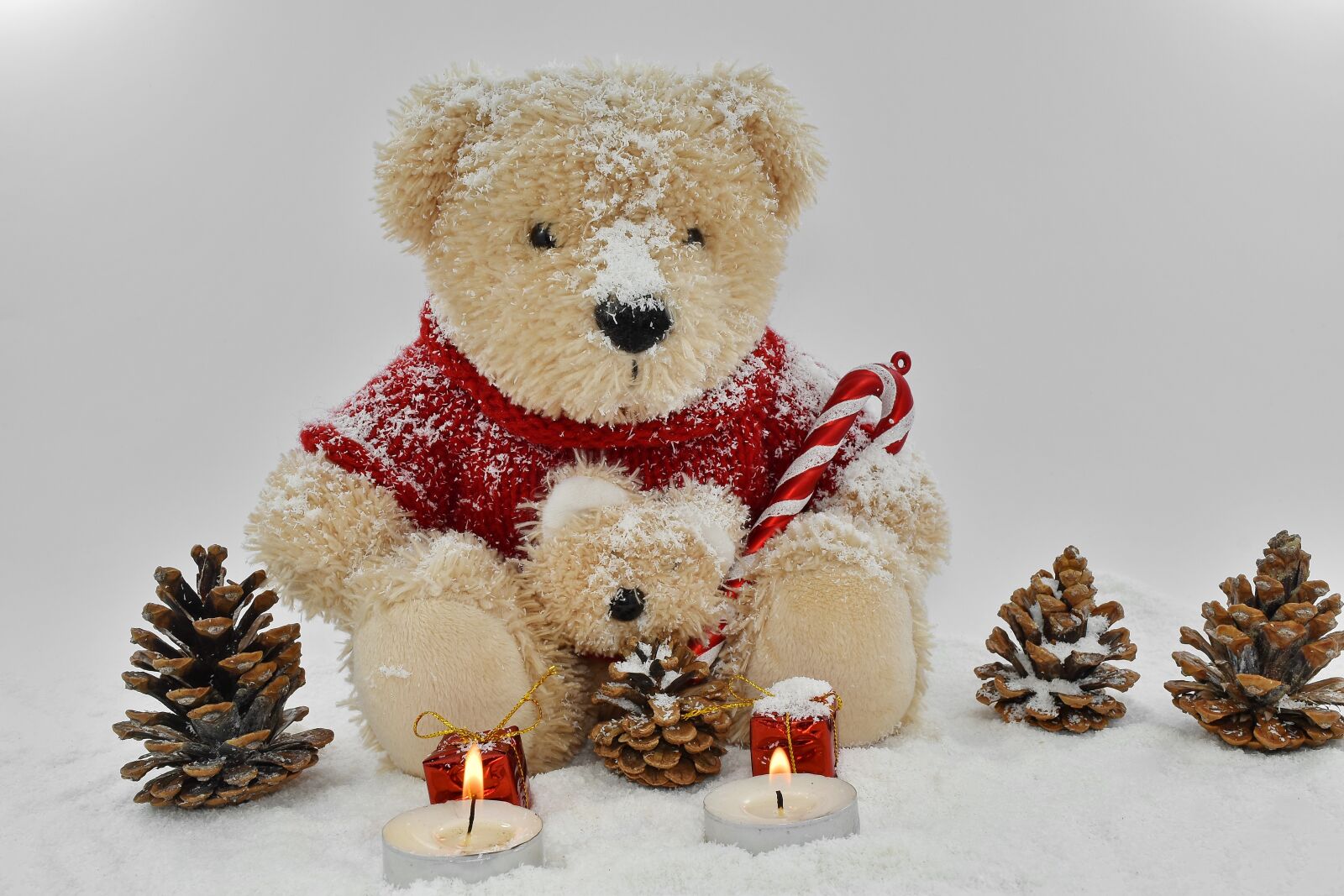Nikon D5500 sample photo. Decoration, toy, christmas, teddy photography