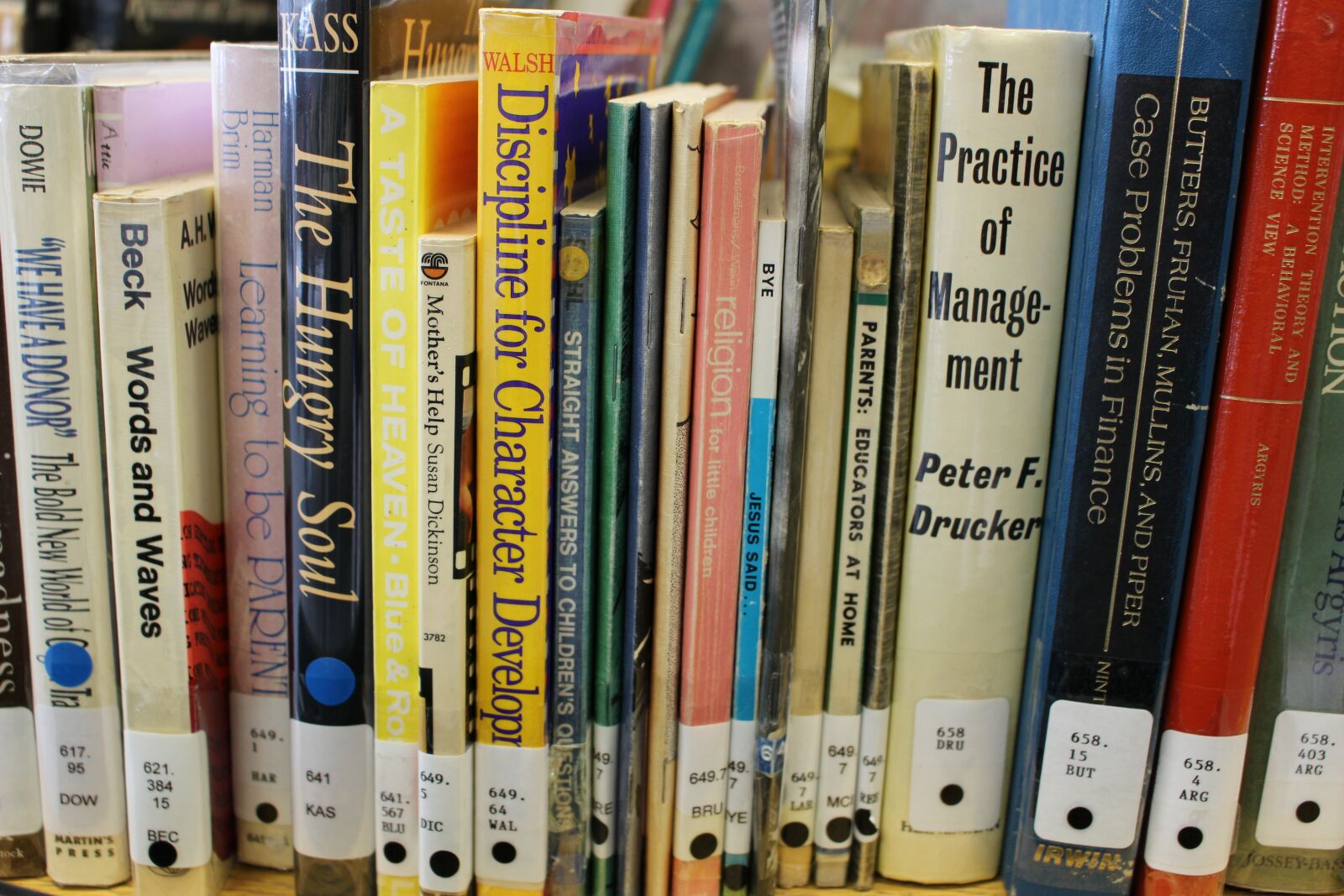 Canon EOS 100D (EOS Rebel SL1 / EOS Kiss X7) sample photo. Library, knowledge, academic libraries photography