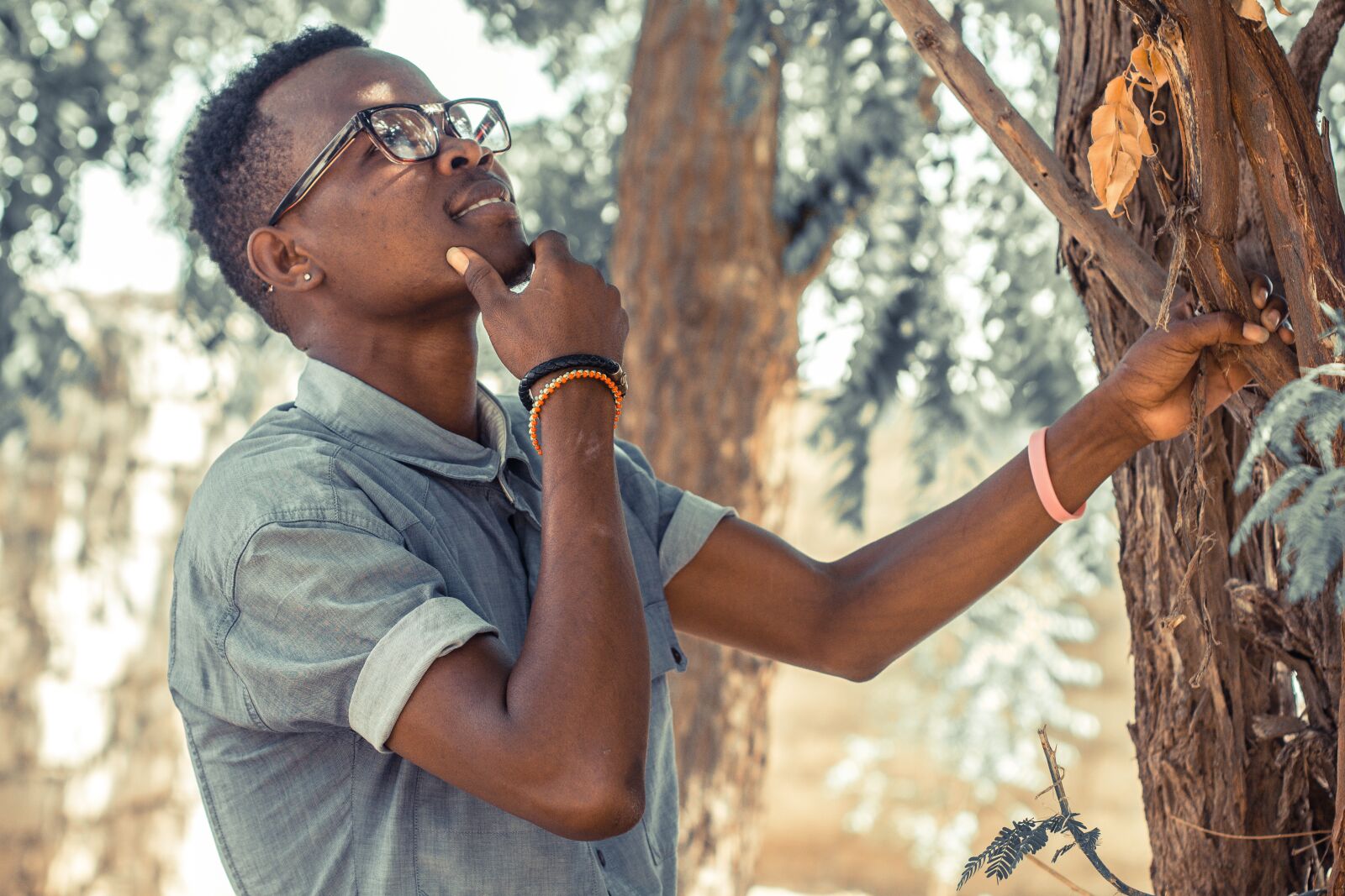 Canon EOS 700D (EOS Rebel T5i / EOS Kiss X7i) + Canon EF 50mm F1.4 USM sample photo. Tree, nature, wood photography