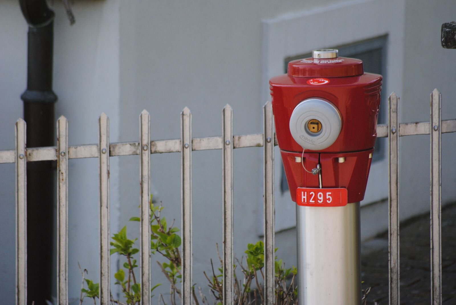 Nikon D3000 sample photo. Hydrant, red, garden photography