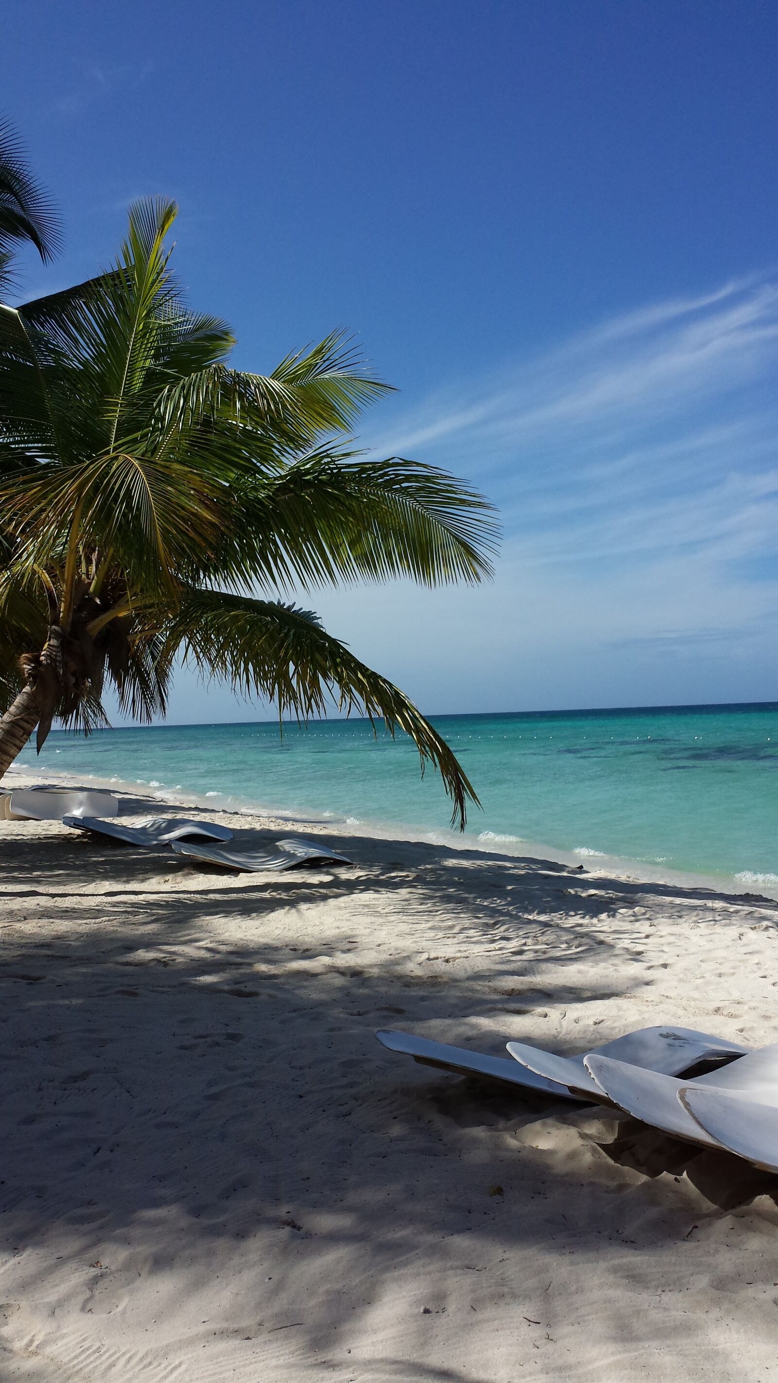 Samsung Galaxy S4 sample photo. Beach, palm trees, caribbean photography