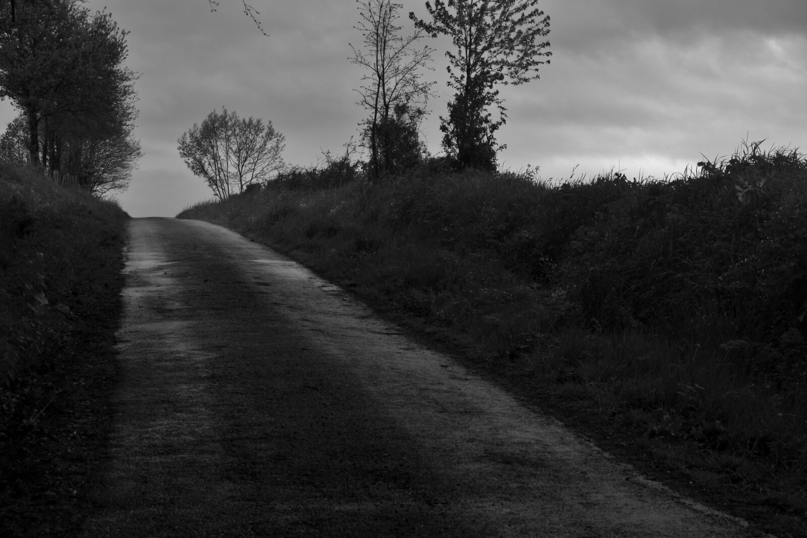 Canon EOS 1000D (EOS Digital Rebel XS / EOS Kiss F) sample photo. Road, rain, countryside photography