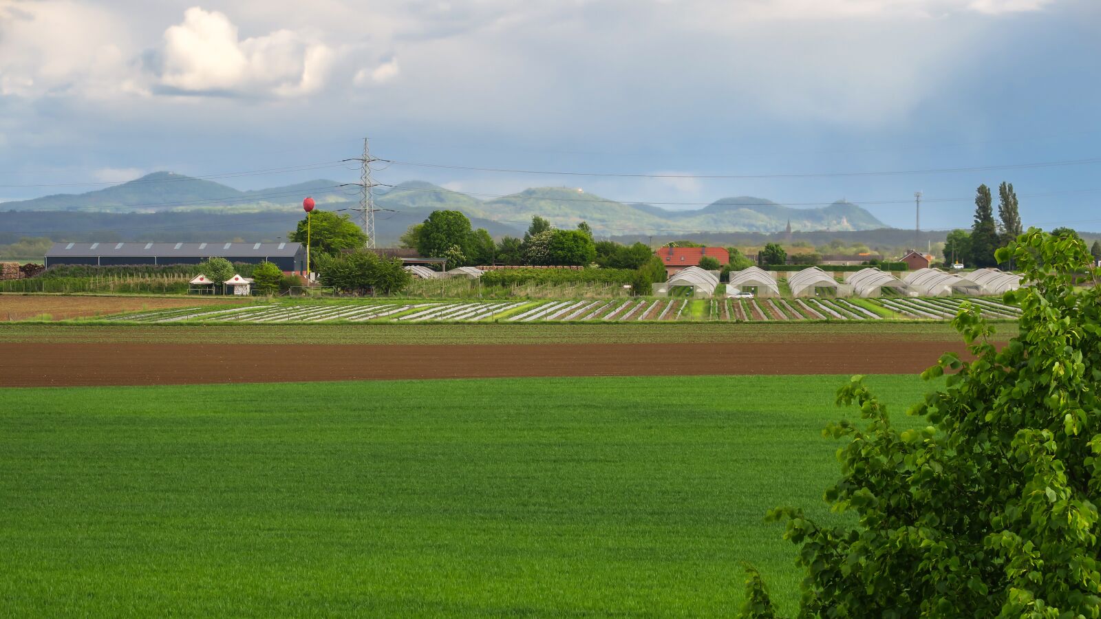 Canon PowerShot G3 X sample photo. Field, agriculture, mountains photography