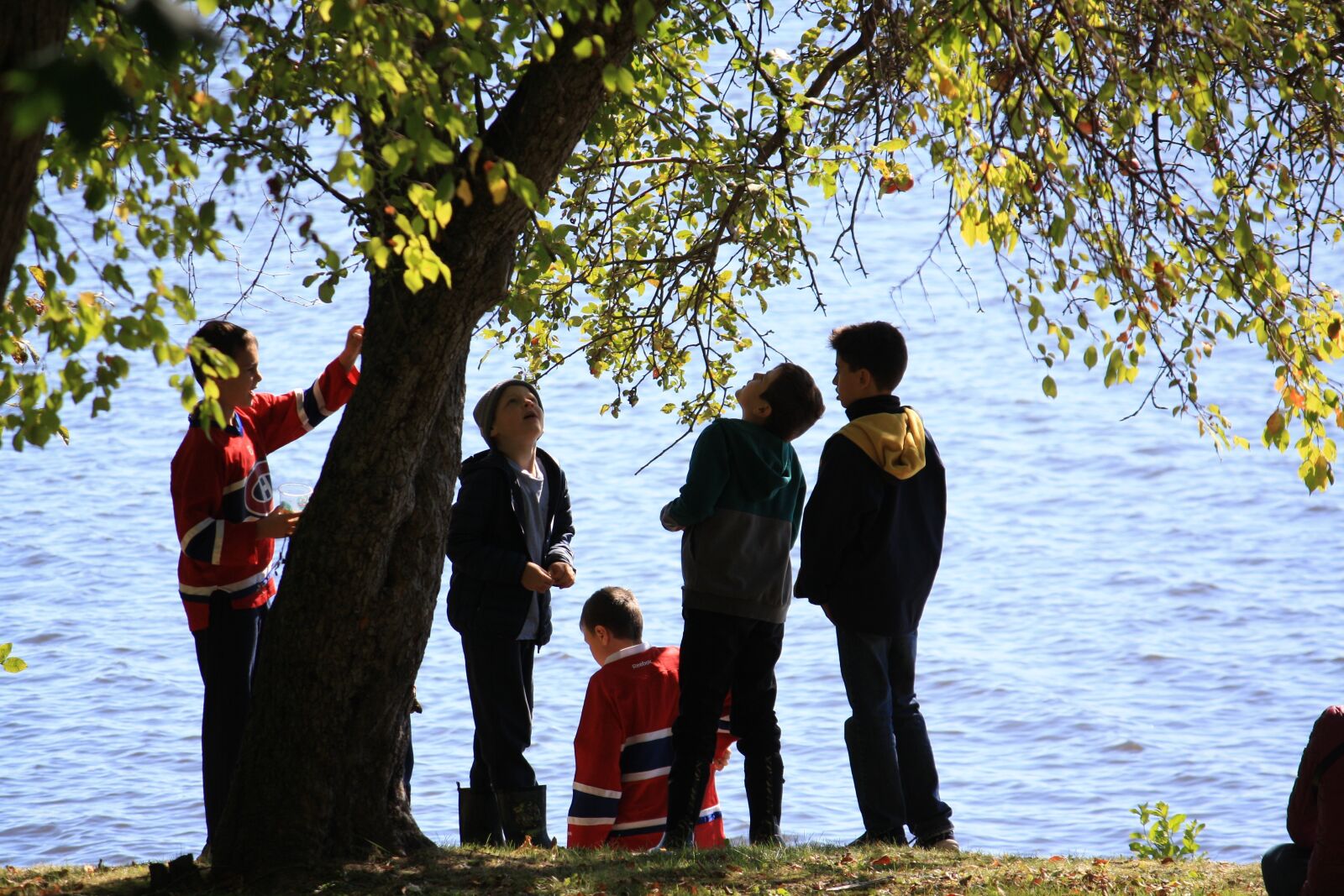 Canon EOS 1000D (EOS Digital Rebel XS / EOS Kiss F) sample photo. Boys, lake, play photography