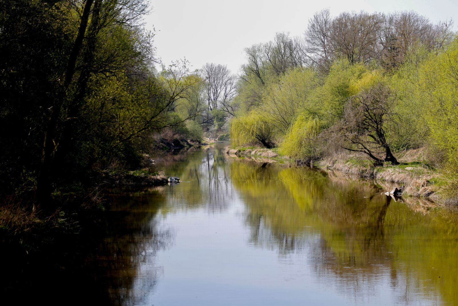 Canon EF 100-400mm F4.5-5.6L IS USM sample photo. Nature, rott, river photography