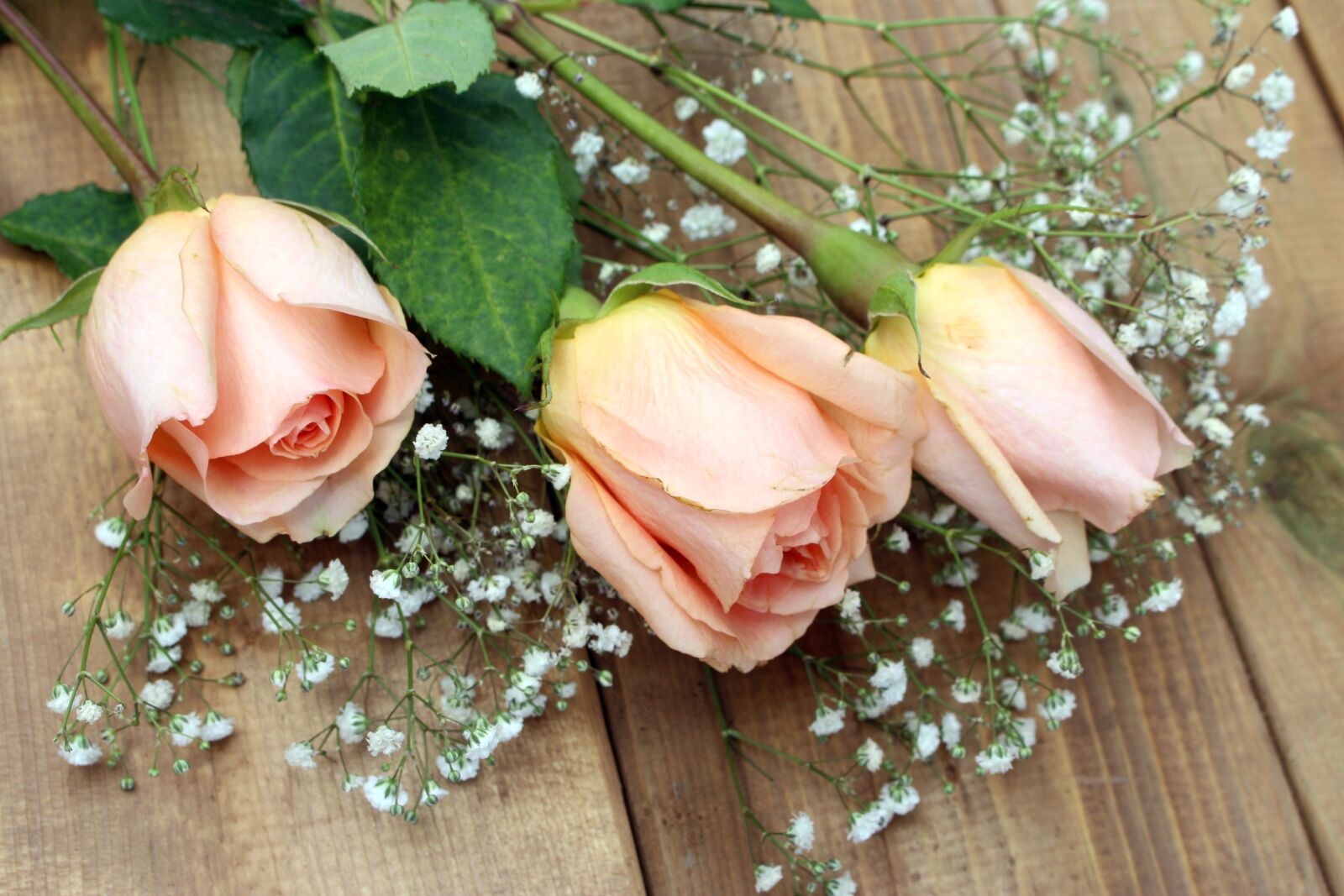 Canon EOS 700D (EOS Rebel T5i / EOS Kiss X7i) sample photo. Roses, flowers, bouquet photography