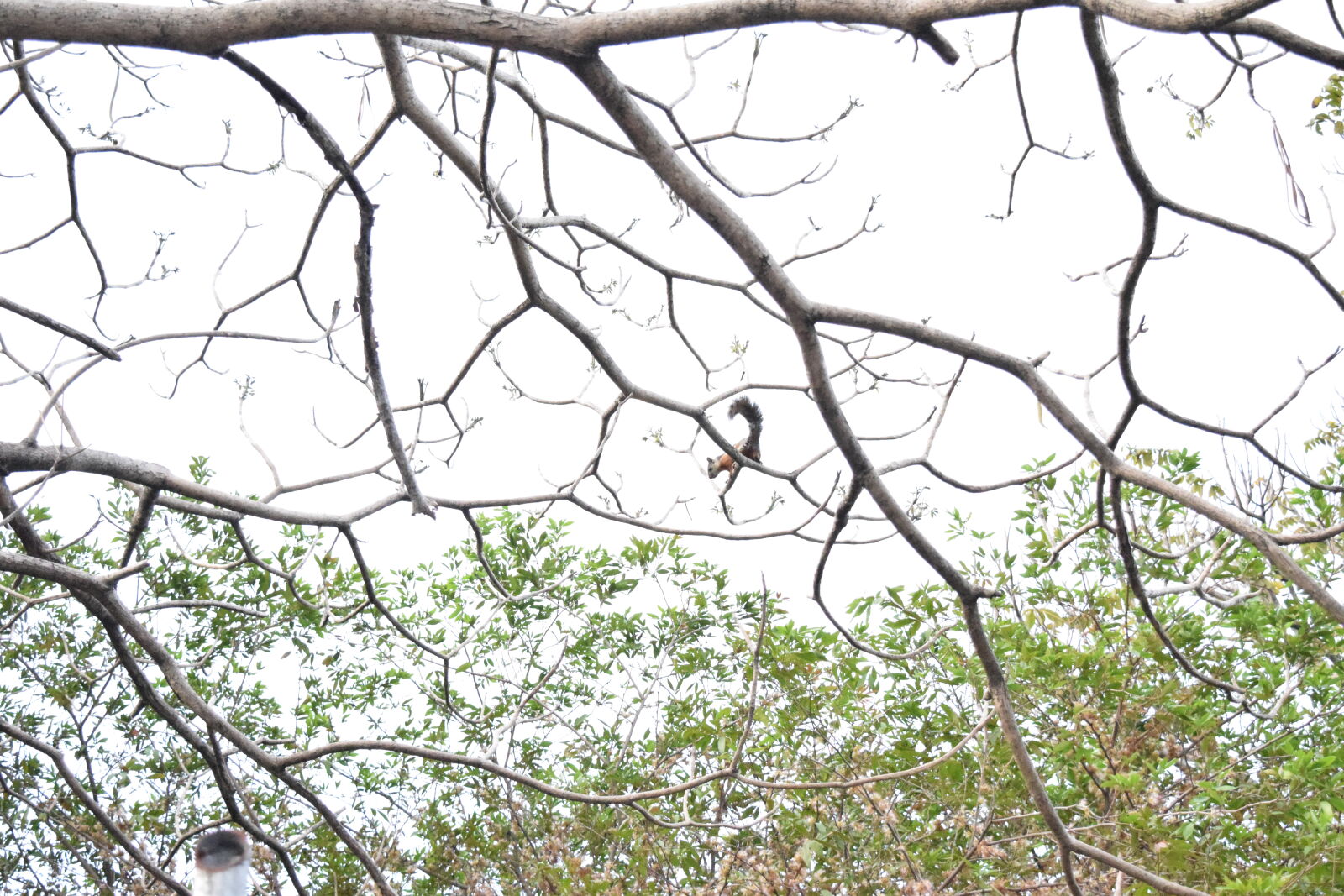 Nikon D3300 sample photo