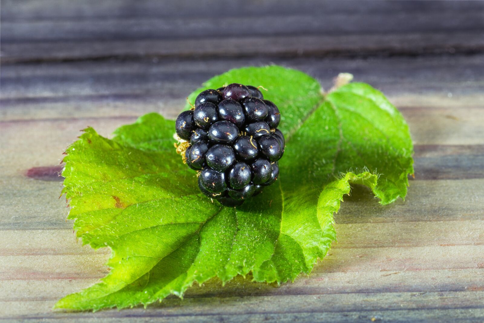 Nikon D7200 sample photo. Blackberry, vitamins, bio photography