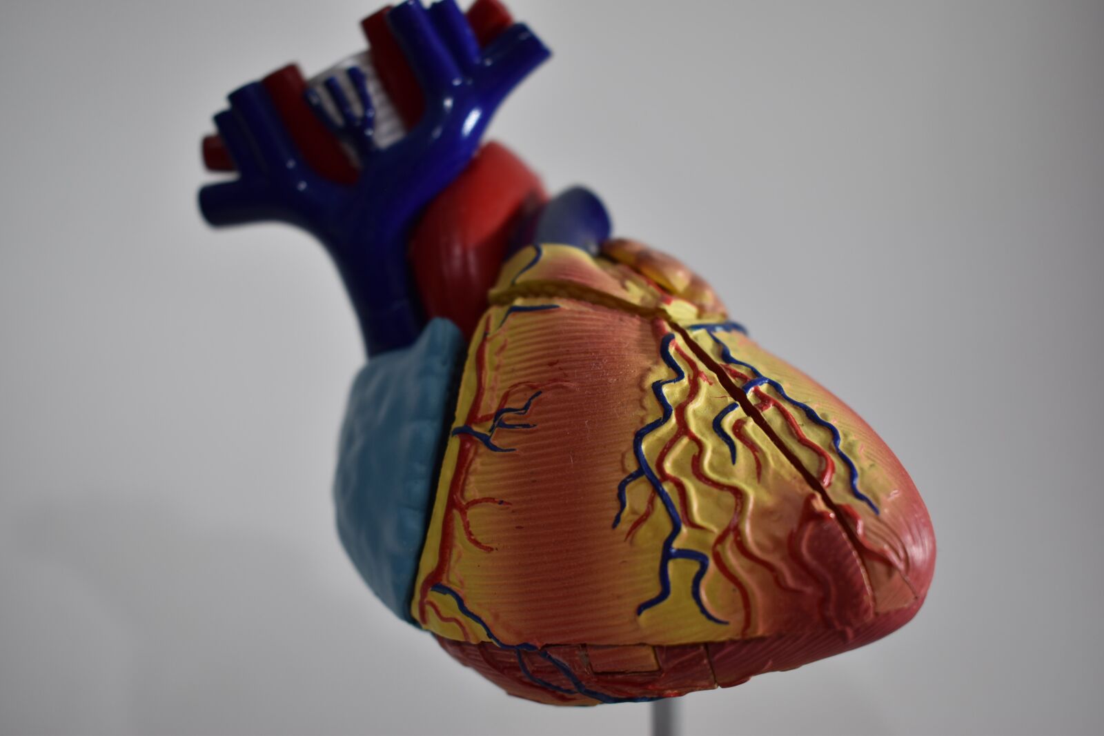 Nikon D5600 sample photo. Heart, model, 3d photography