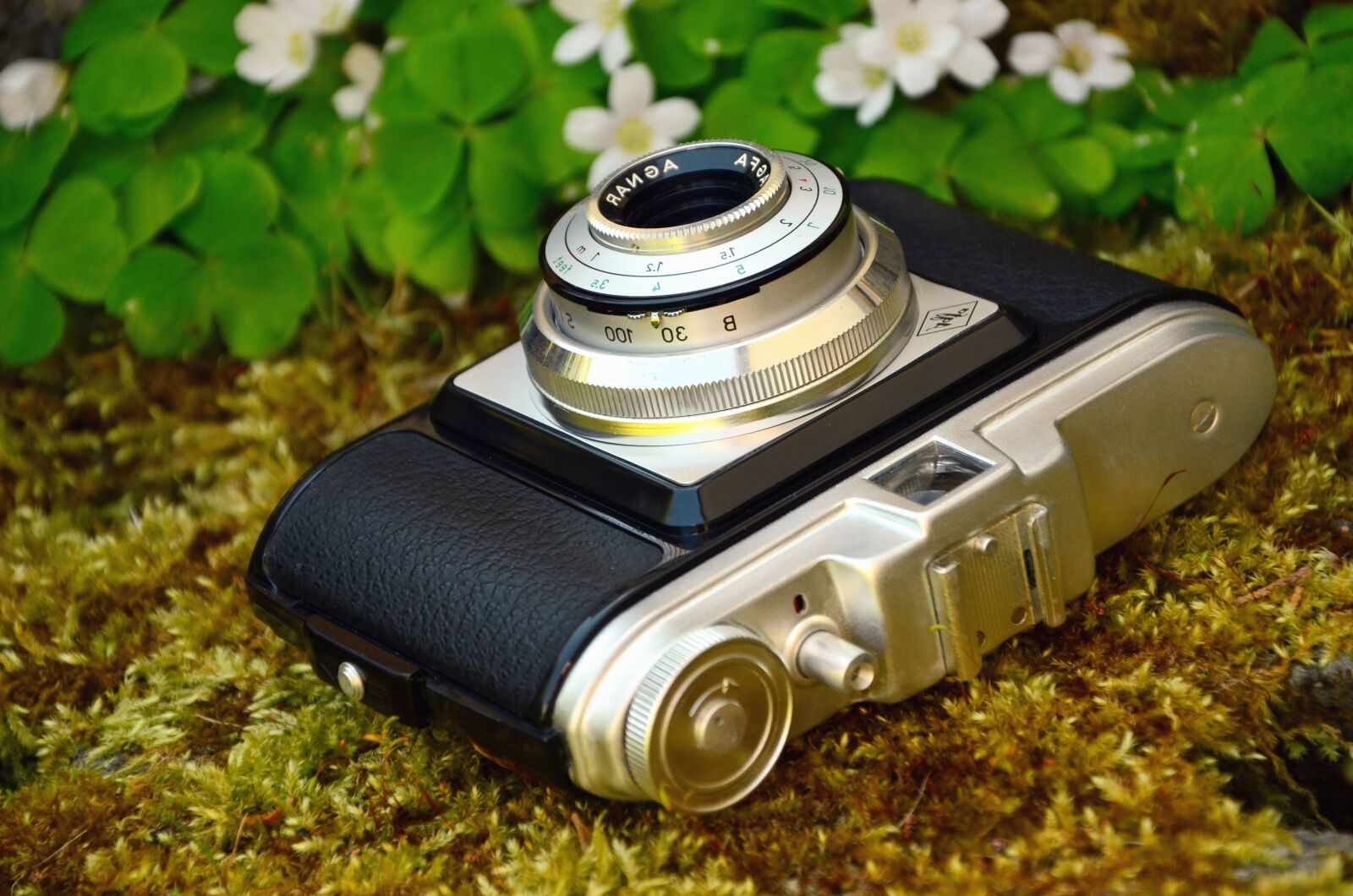 Nikon D5100 sample photo. Photo camera, lens, flower photography