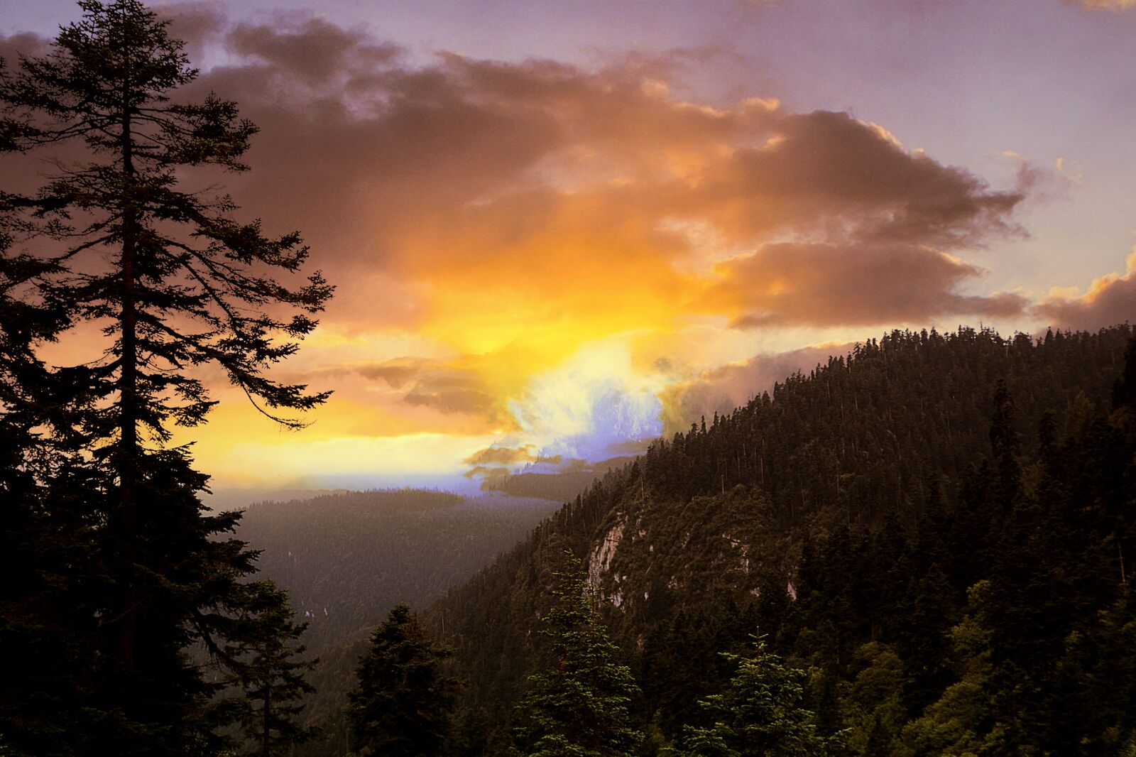 Nikon D7100 sample photo. Mountain, pine tree, twilight photography
