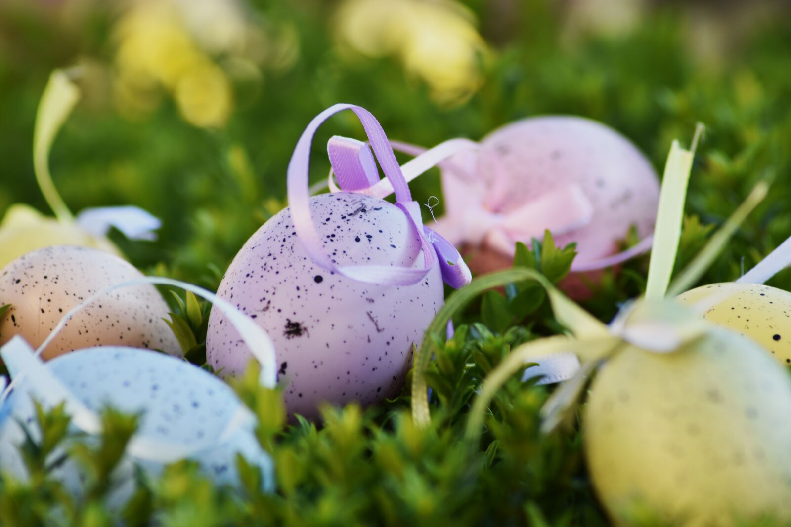 Nikon D3400 sample photo. Easter, egg, color photography
