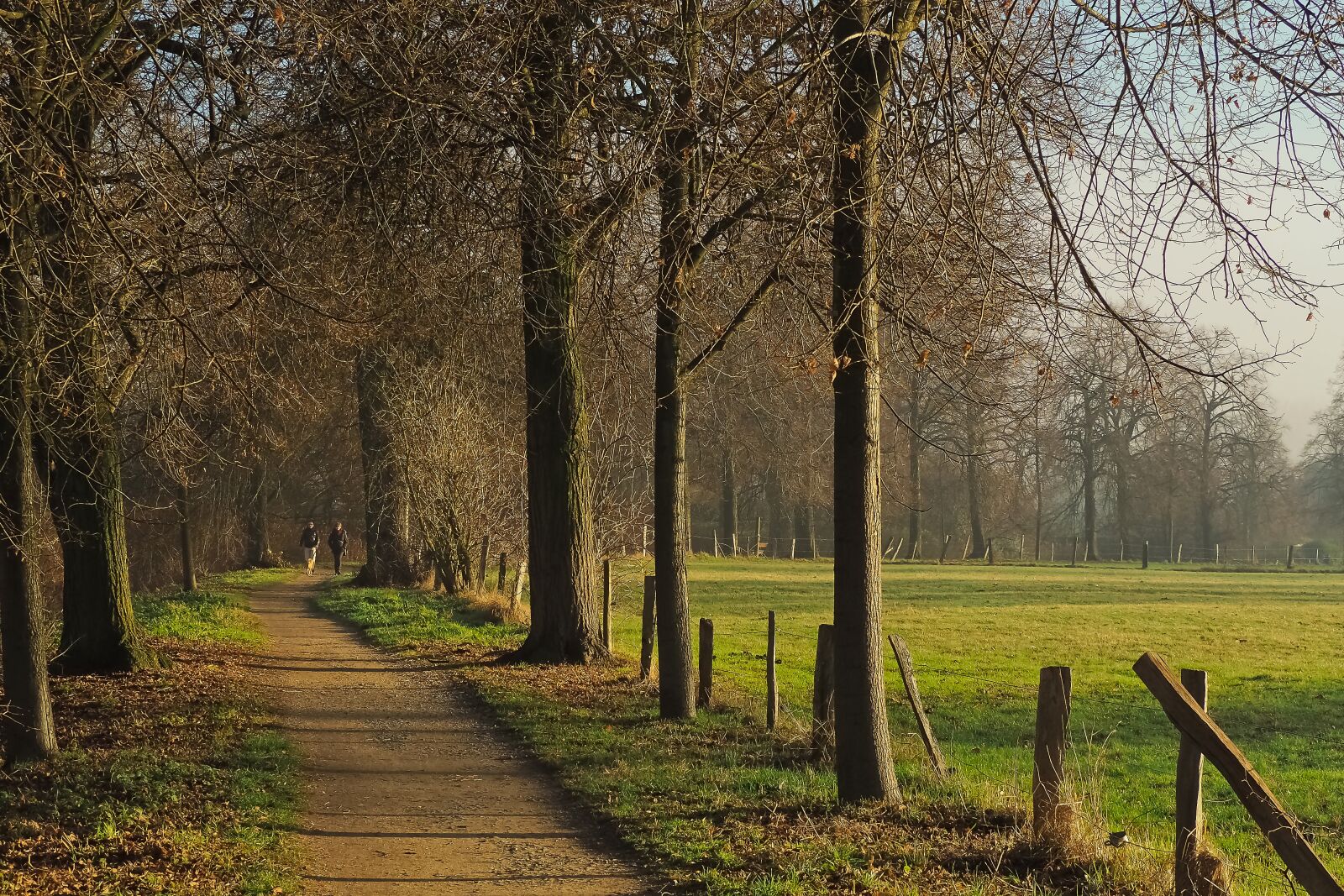 Olympus OM-D E-M10 sample photo. Nature, landscape, fence photography