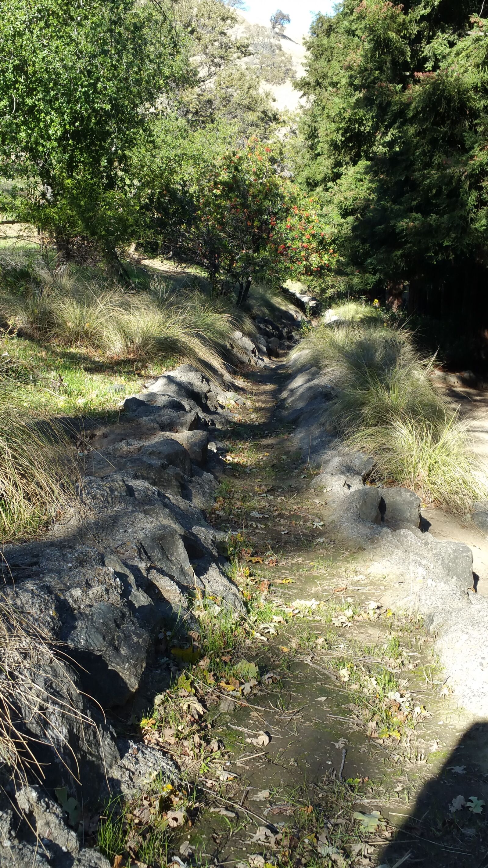 Samsung Galaxy Note4 sample photo. Creek, fence, grass, path photography
