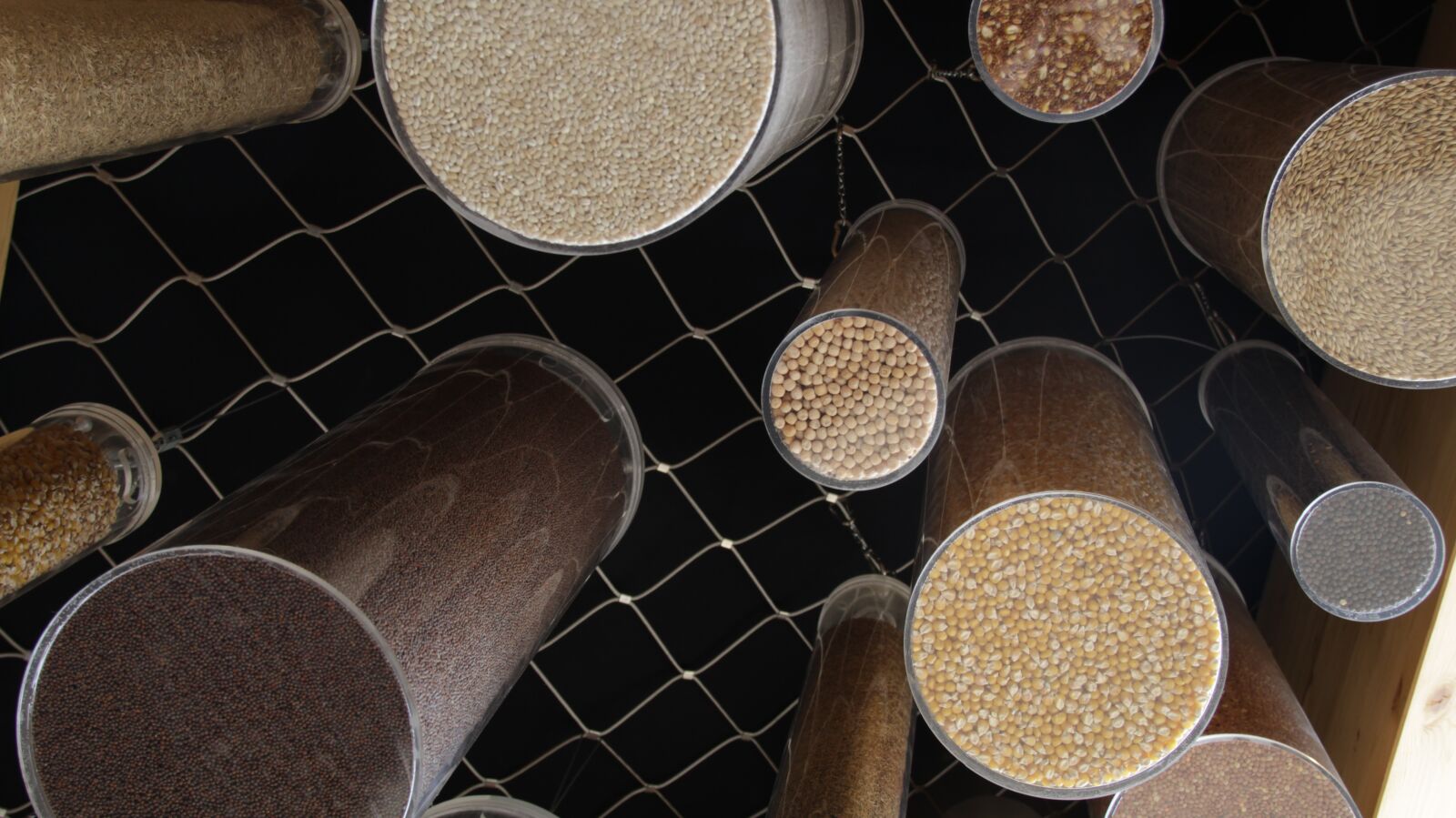 Canon EOS 60D sample photo. Wallpaper, food, cereals photography