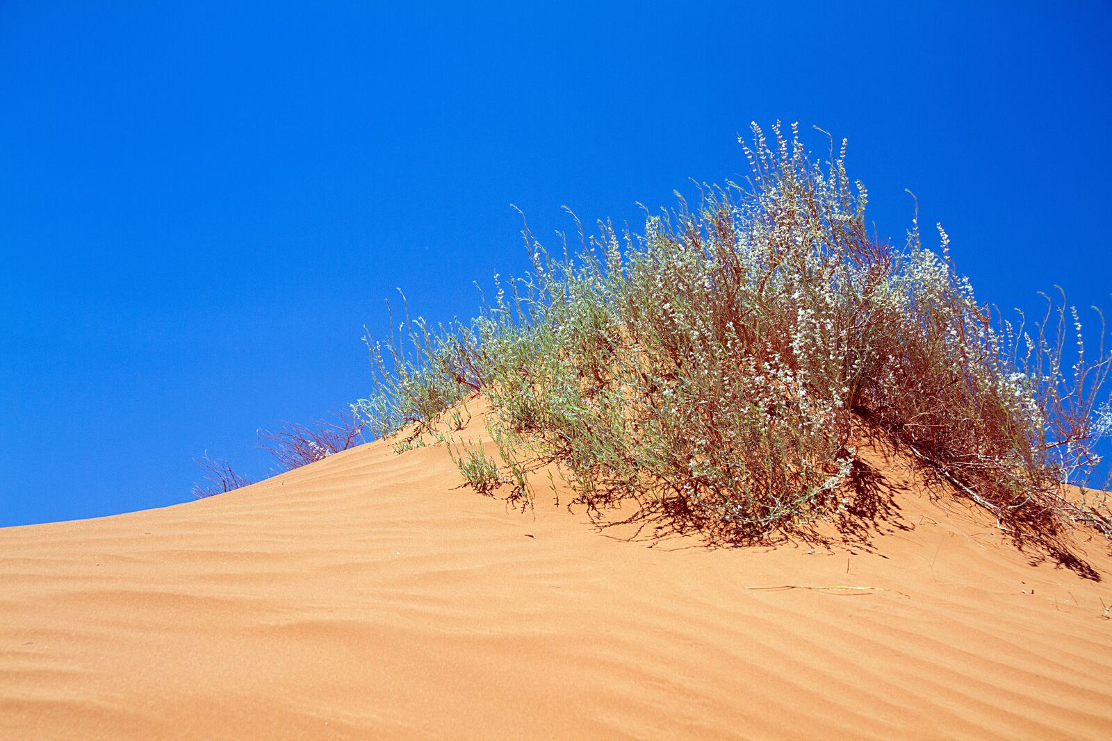 Canon EOS 7D sample photo. Monument valley, utah, wild photography