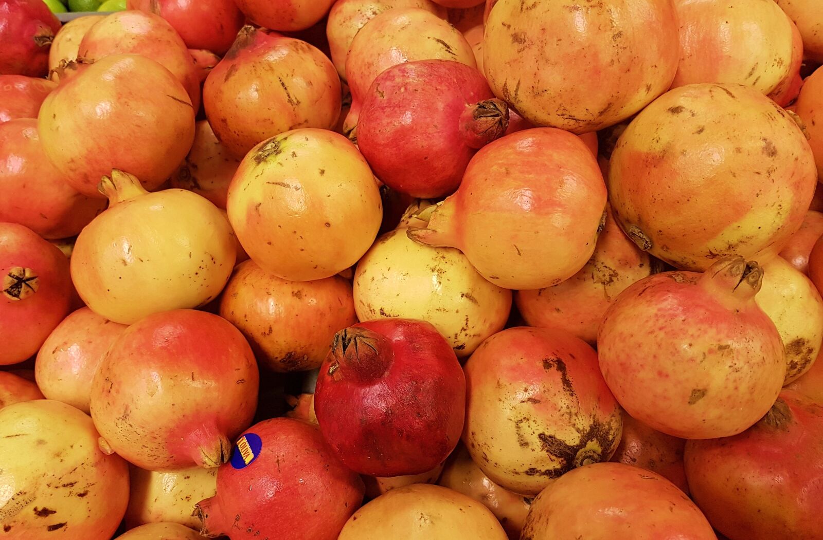 Samsung Galaxy S7 Edge sample photo. Food, fruit, healthy photography