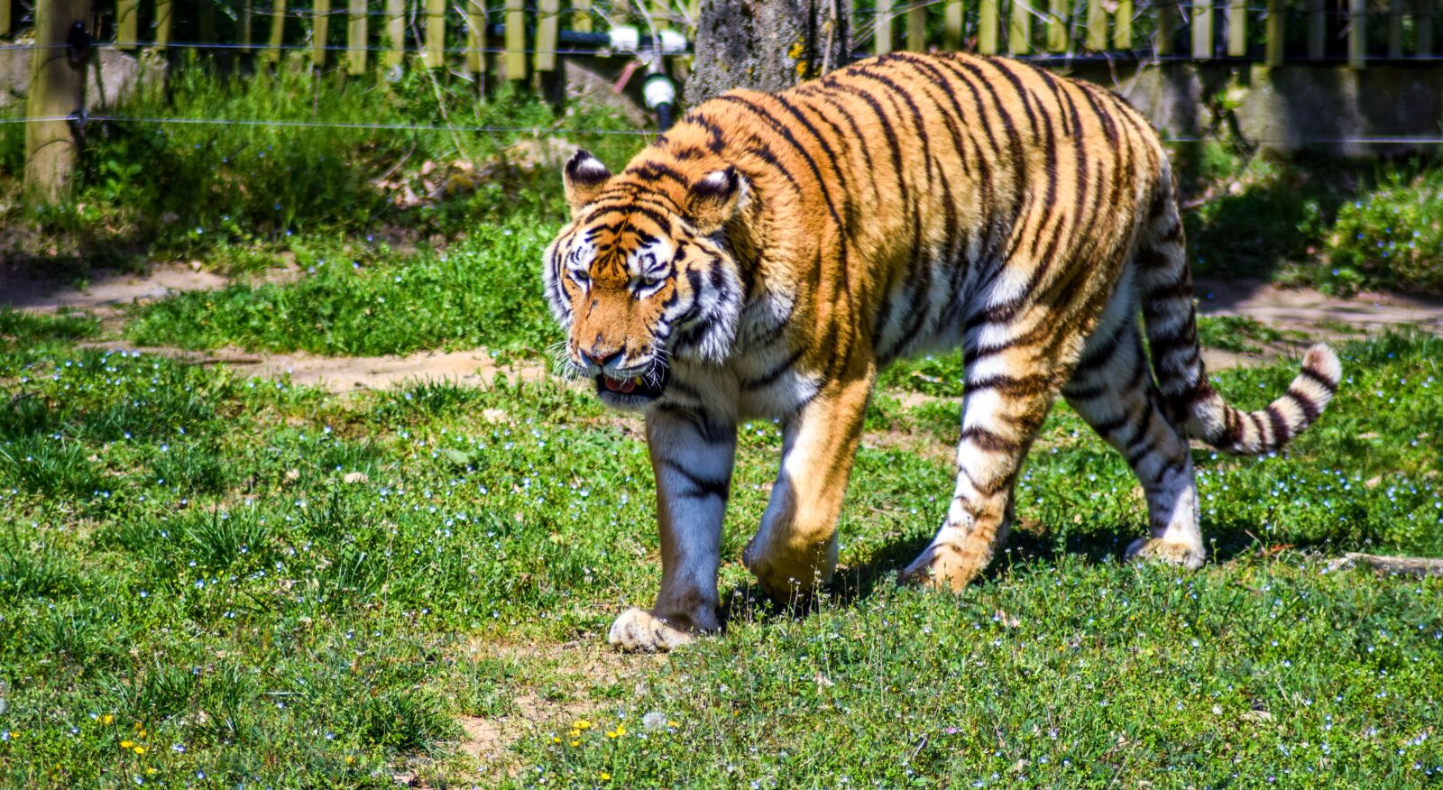 Nikon D5300 sample photo. Zoo, paugres, ardeche photography