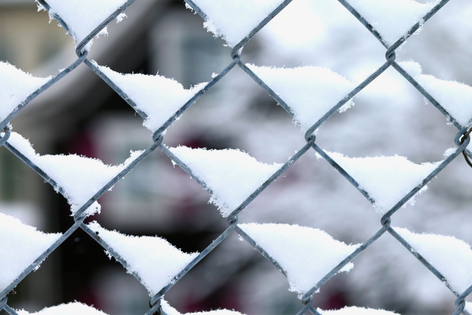Canon EOS 70D + Canon EF 85mm F1.8 USM sample photo. Wire mesh, snow, winter photography